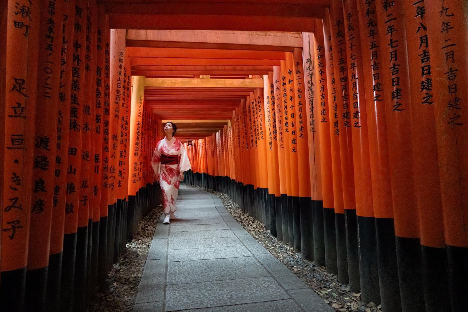 European Photography Awards Winner - Led by the Light