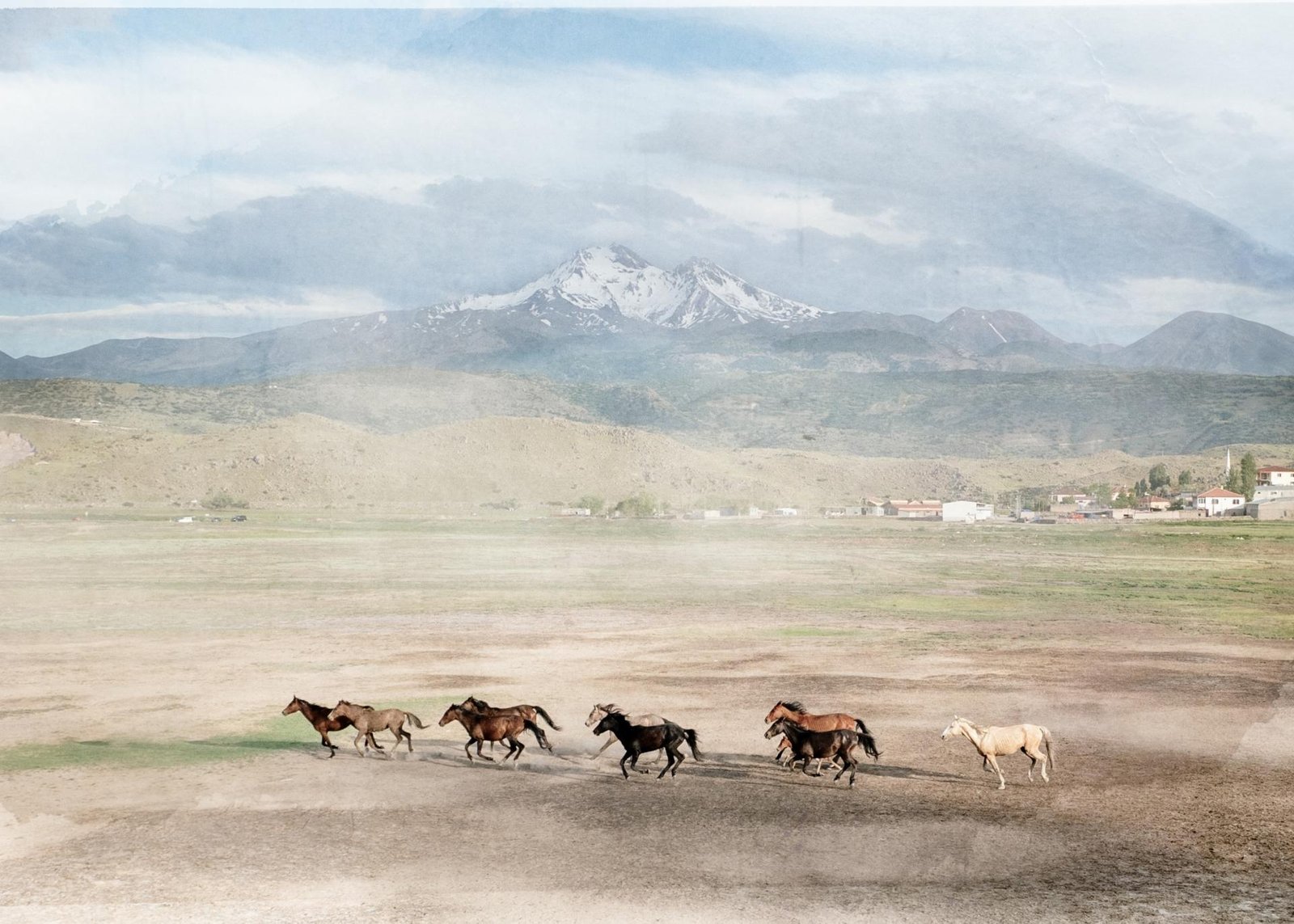 European Photography Awards Winner - Spirit of Anatolia: Horses Across the Turkish Landscape