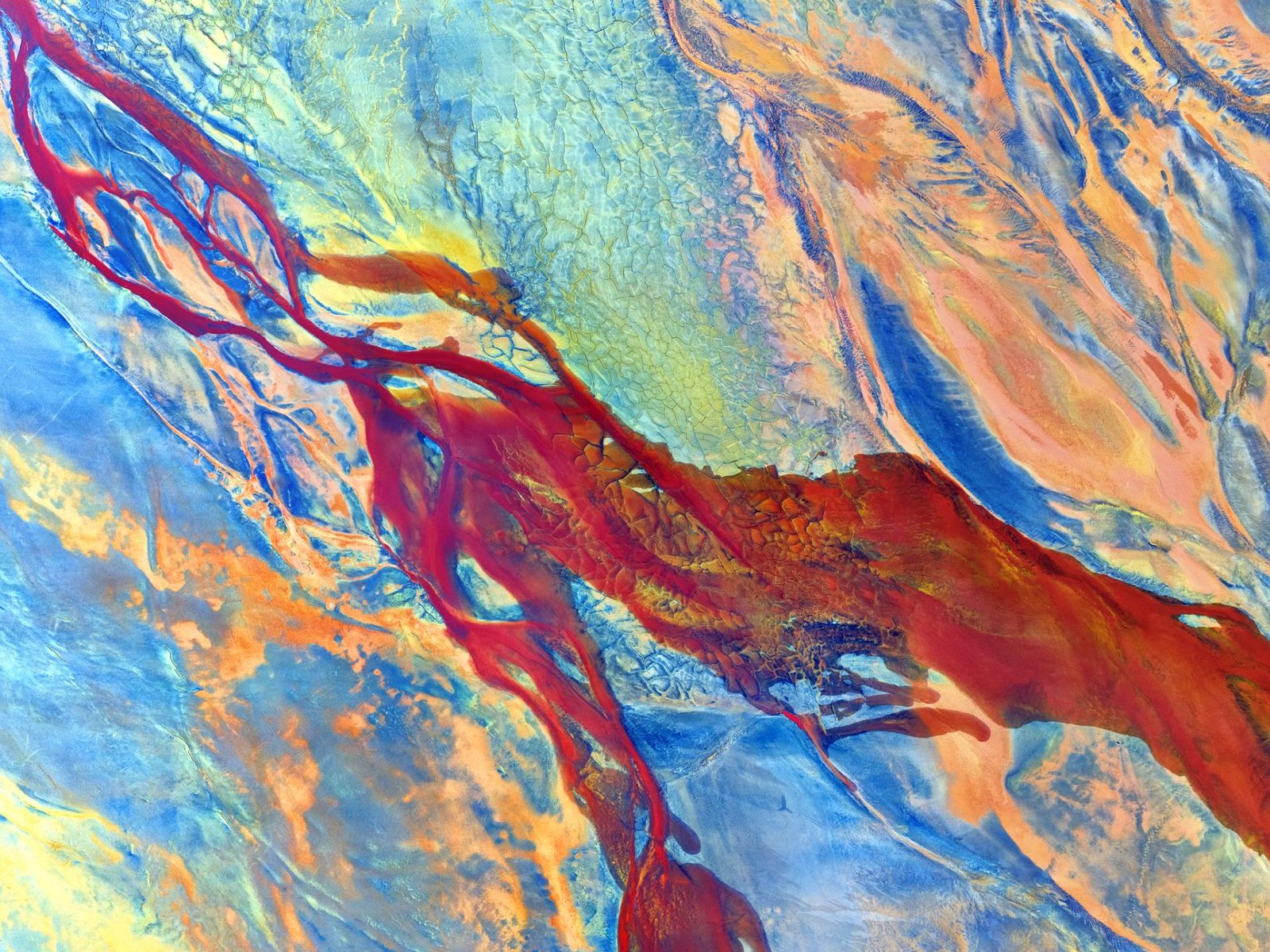 European Photography Awards Winner - Psychedelic