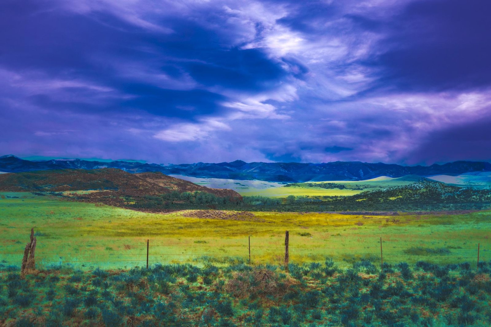 European Photography Awards Winner - Spring Emerged