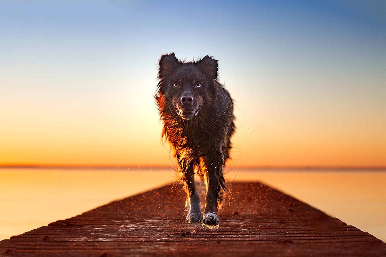 European Photography Awards Winner - Chasing the last light, the best light