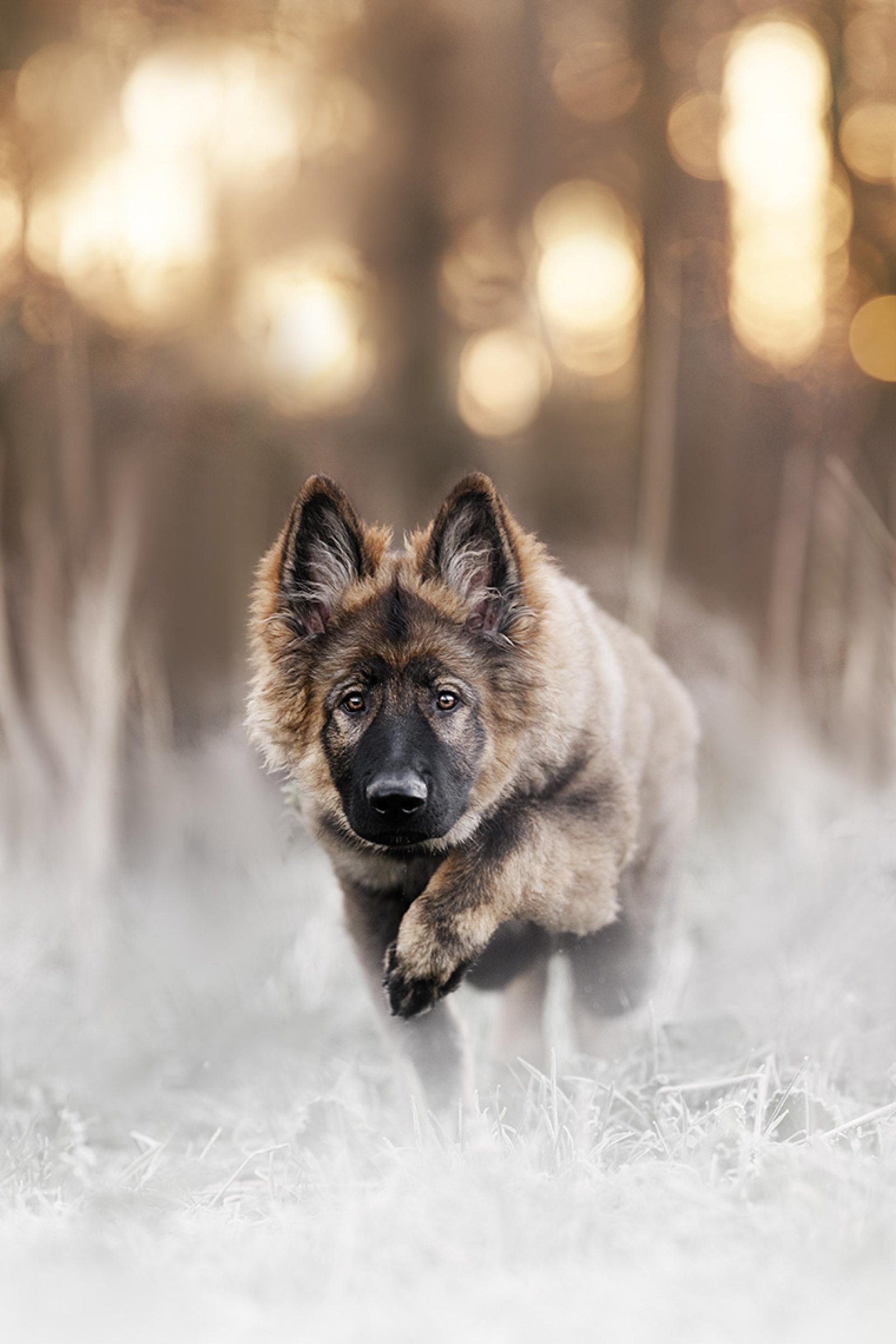 European Photography Awards Winner - Gaze