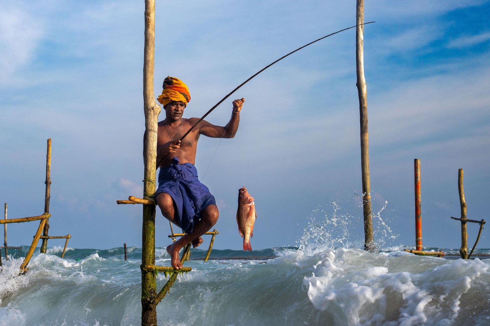 European Photography Awards Winner - Great Catch