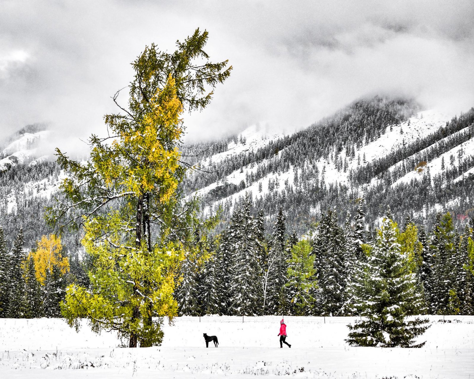 European Photography Awards Winner - Footsteps Between Fall and Frost