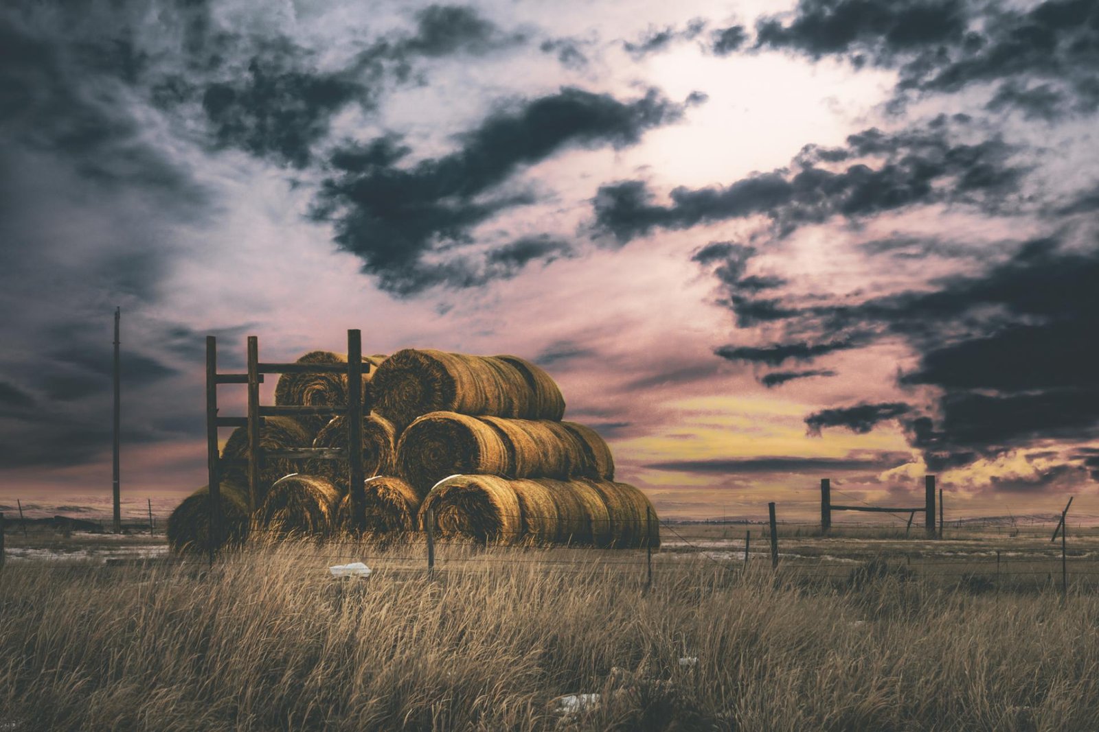 European Photography Awards Winner - Bales at Sunrise