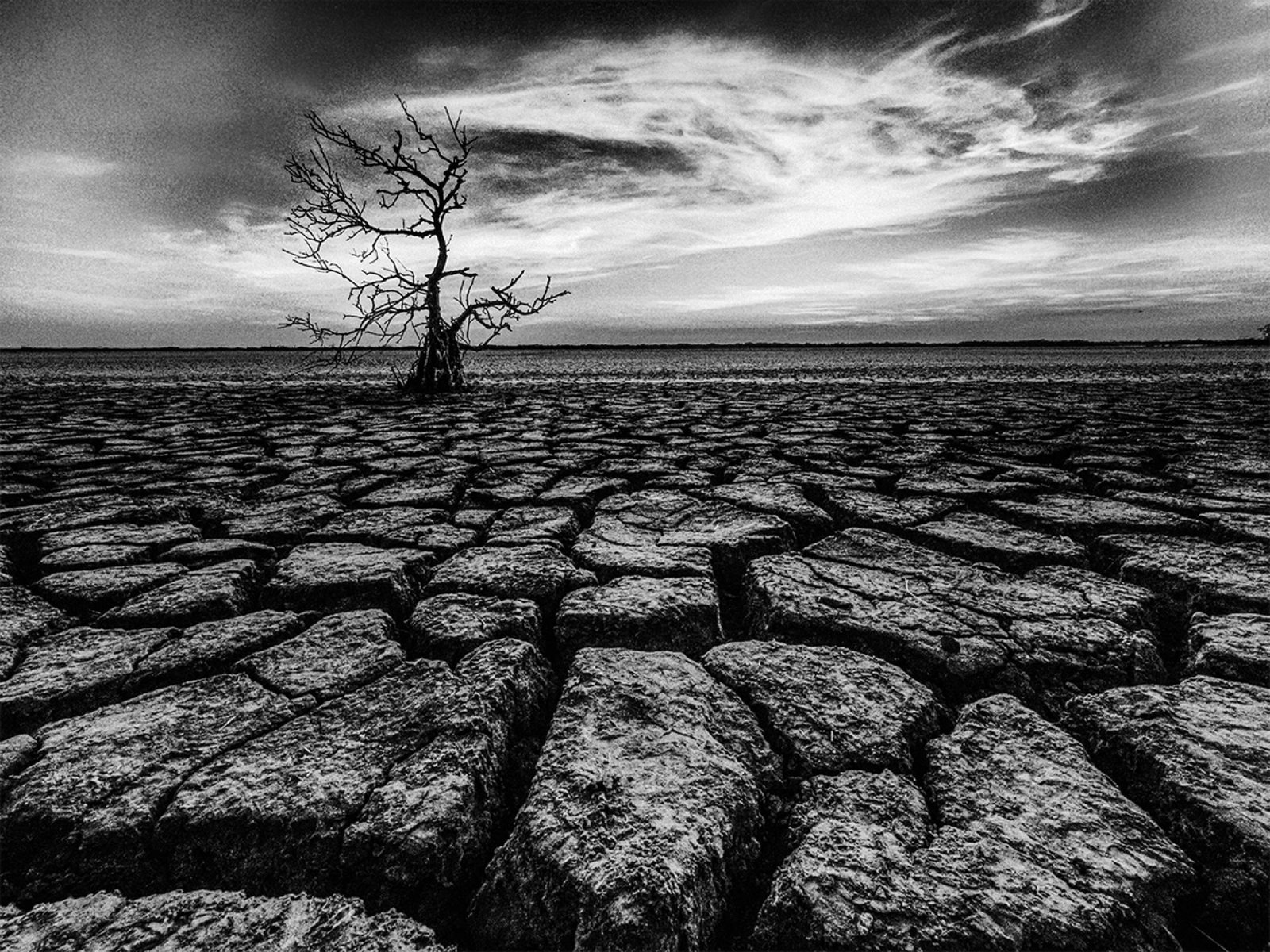 European Photography Awards Winner - Dry land