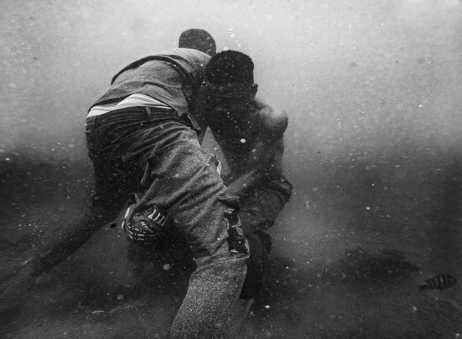 European Photography Awards Winner - From the bottom of the ocean