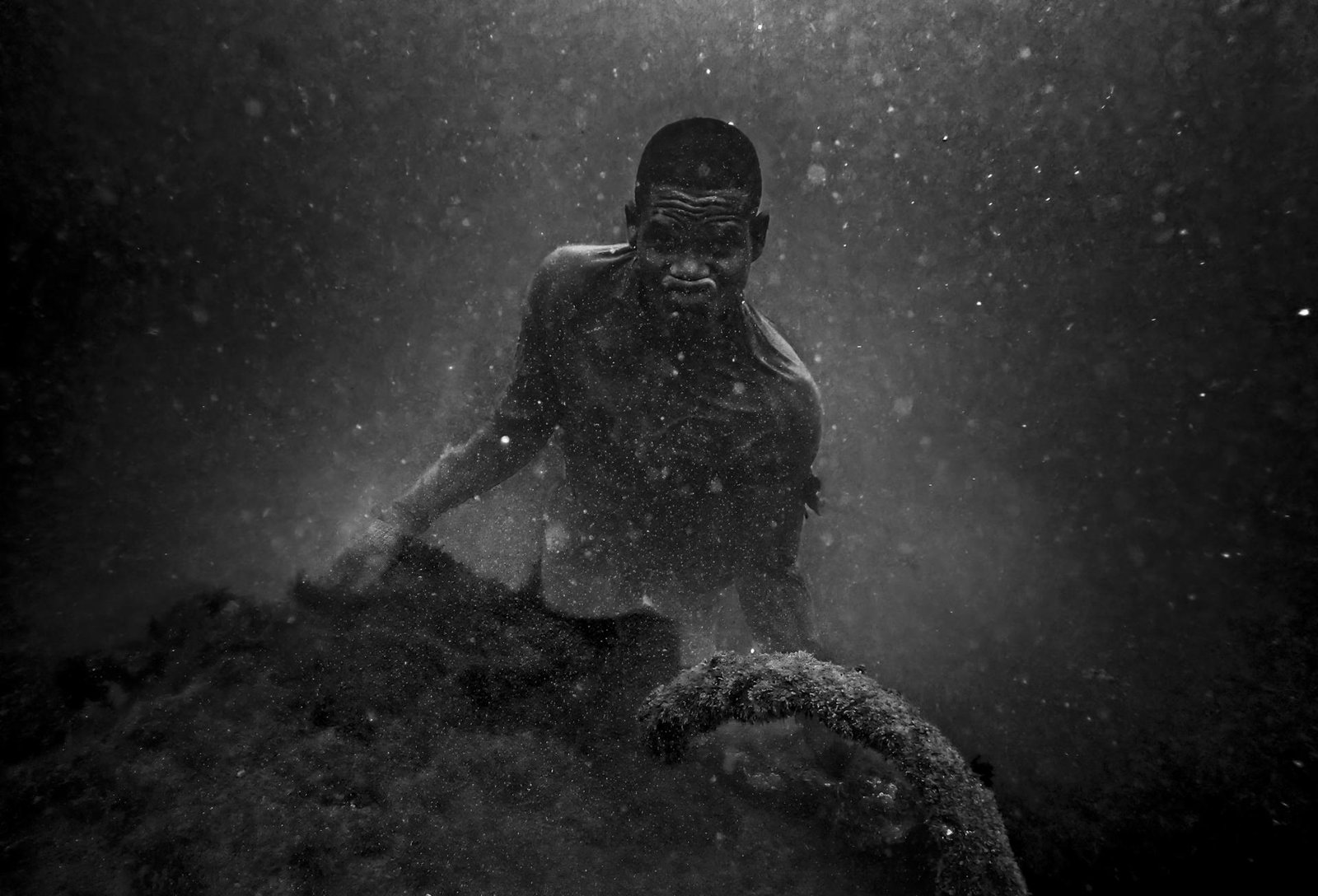 European Photography Awards Winner - From the bottom of the ocean