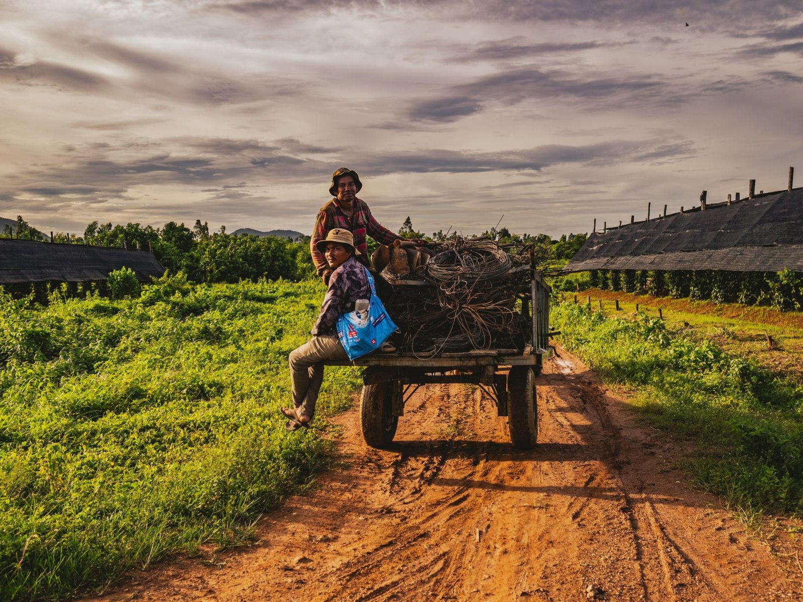 European Photography Awards Winner - Kampot Pepper Farm
