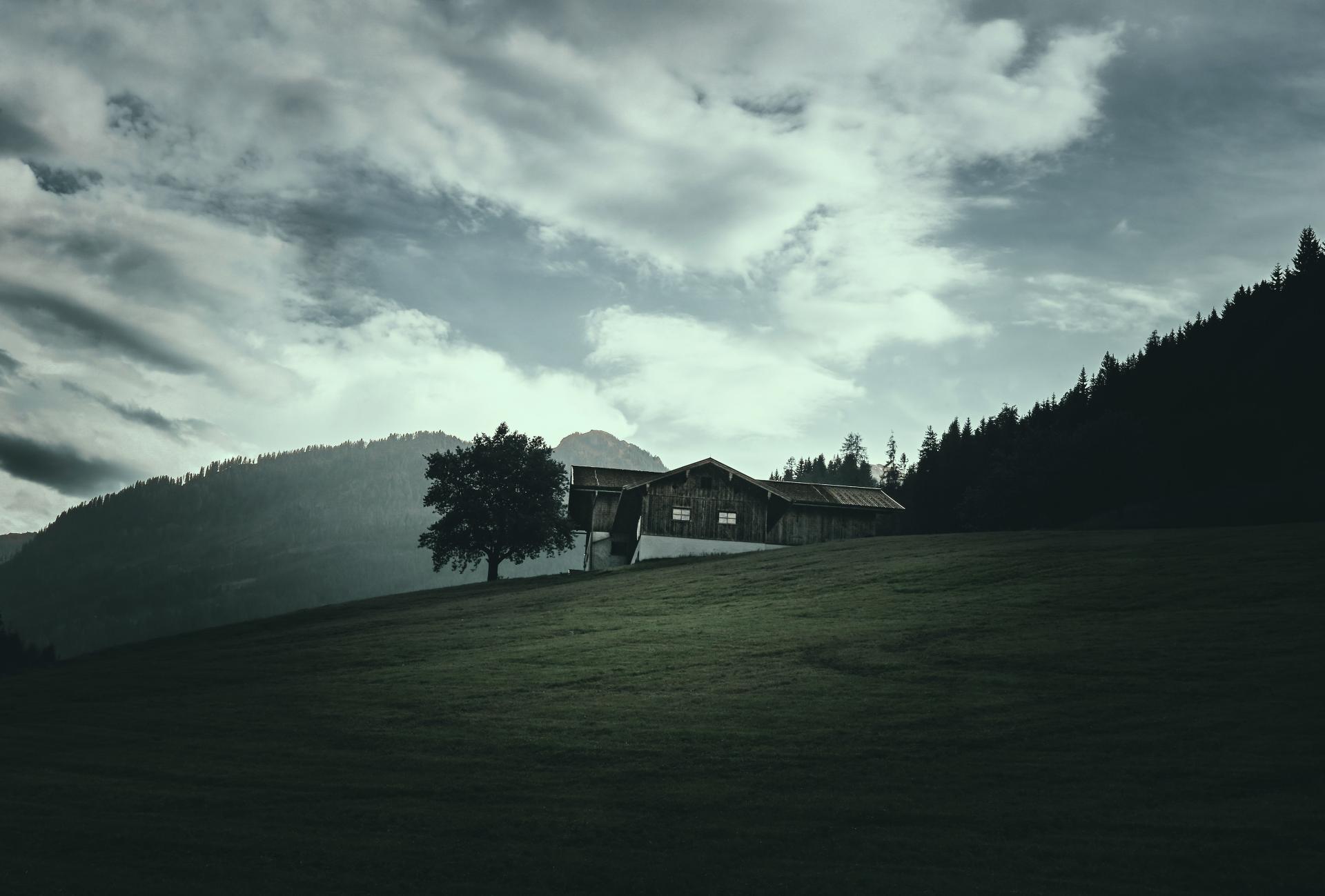 European Photography Awards Winner - Echoes of a Living Landscape: between Stillness and Motion