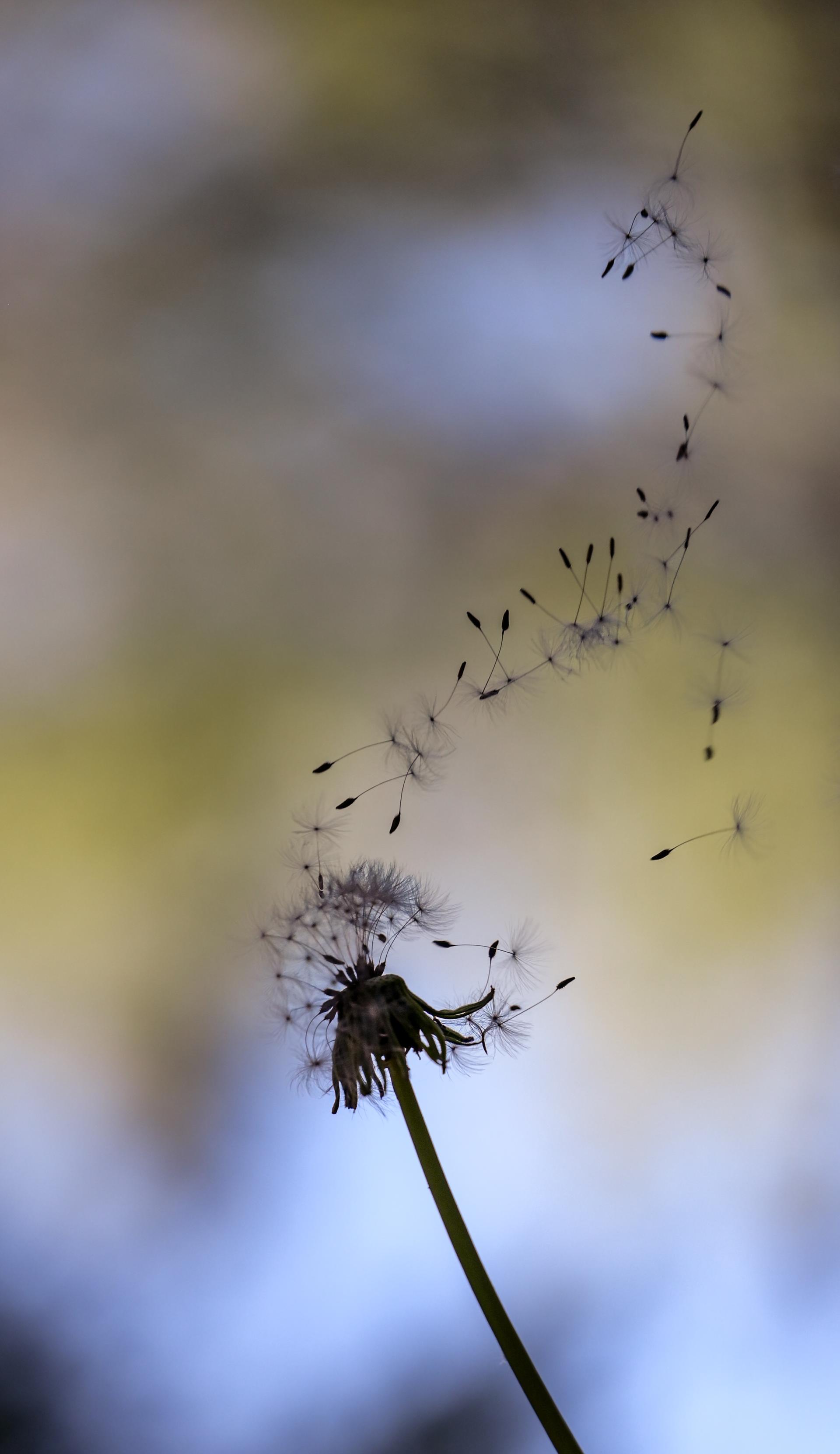 European Photography Awards Winner - Echoes of a Living Landscape: between Stillness and Motion