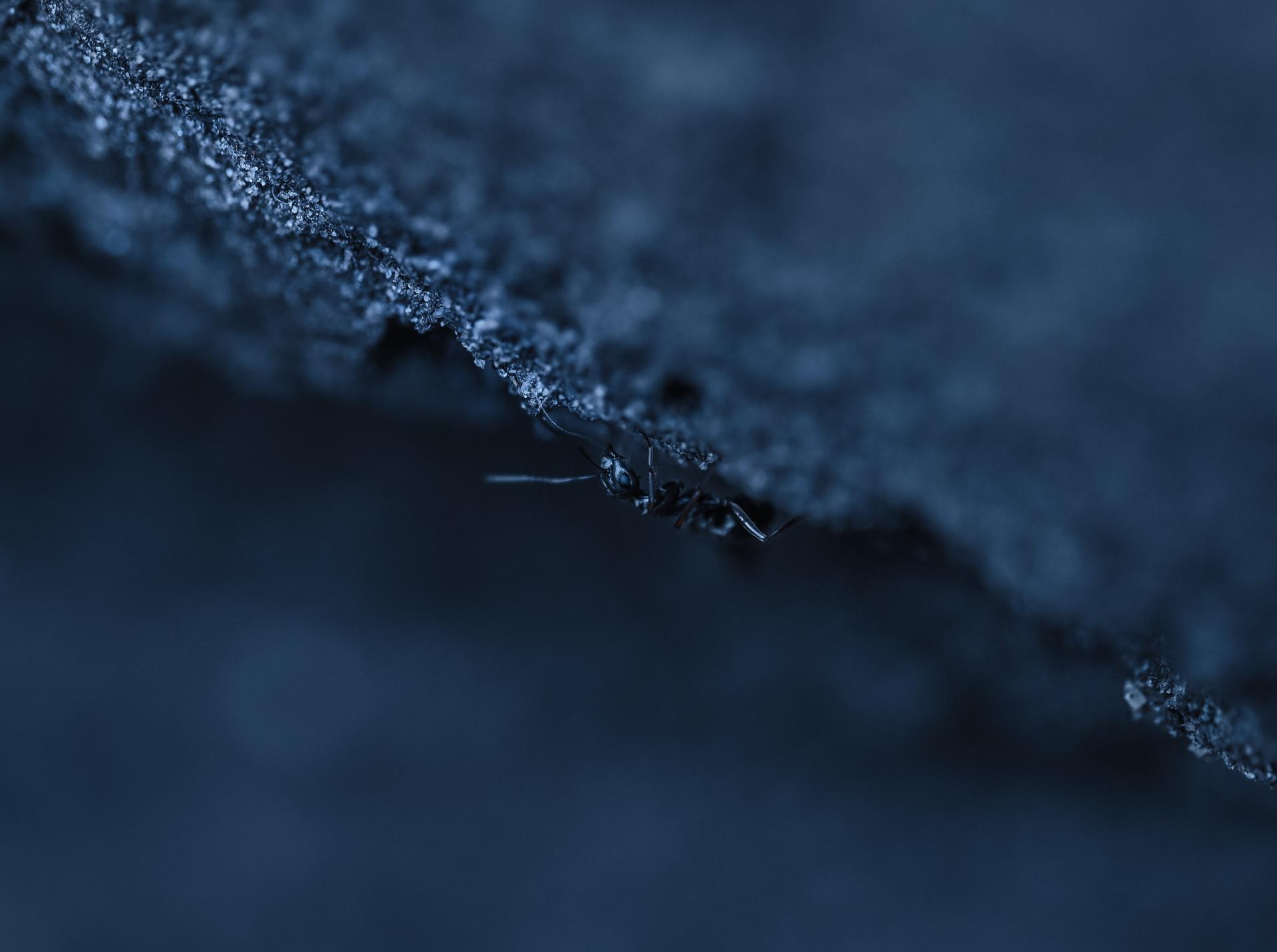 European Photography Awards Winner - Echoes of a Living Landscape: between Stillness and Motion