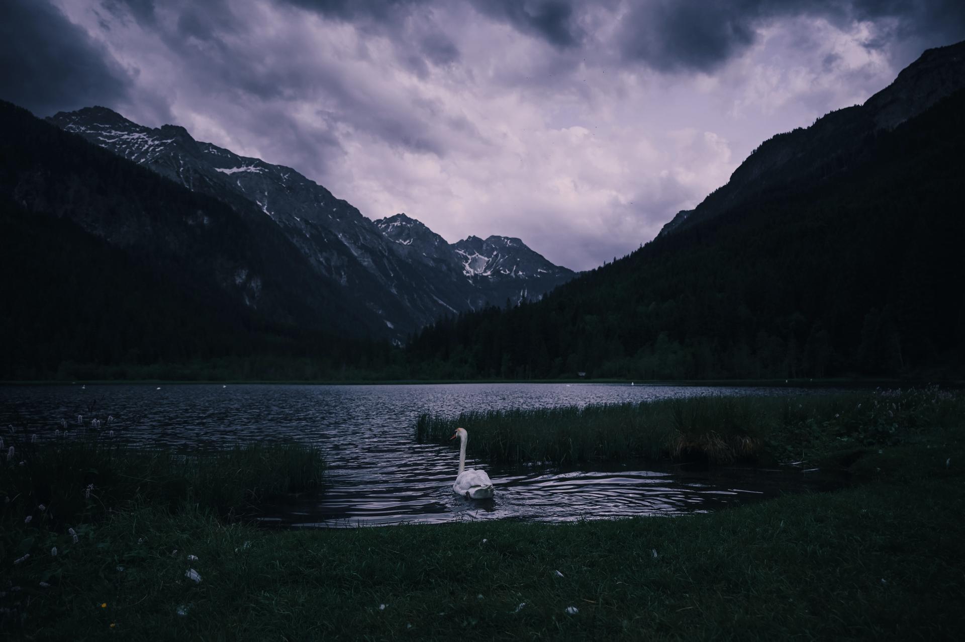 European Photography Awards Winner - Echoes of a Living Landscape: between Stillness and Motion