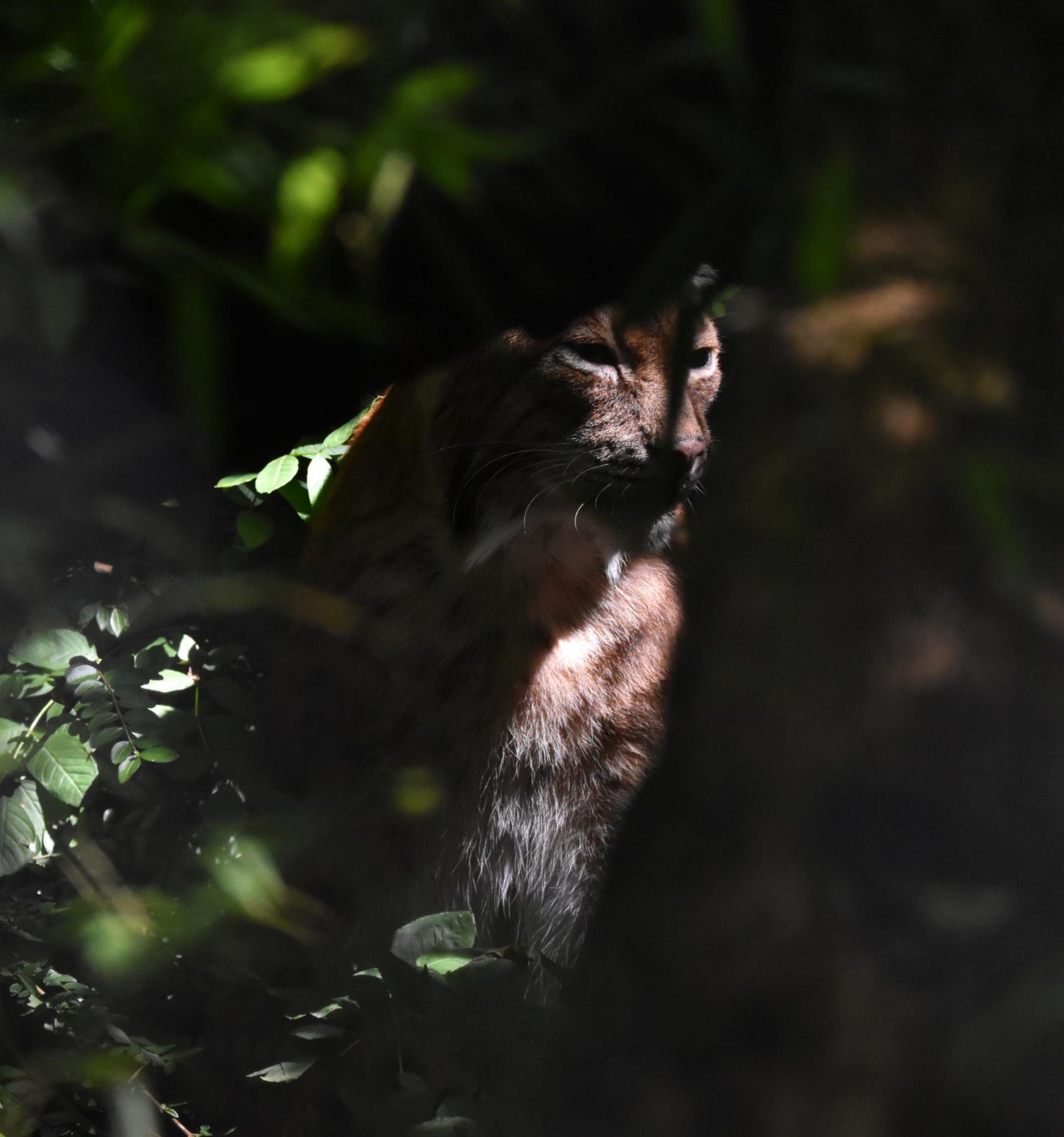 European Photography Awards Winner - Reflection 