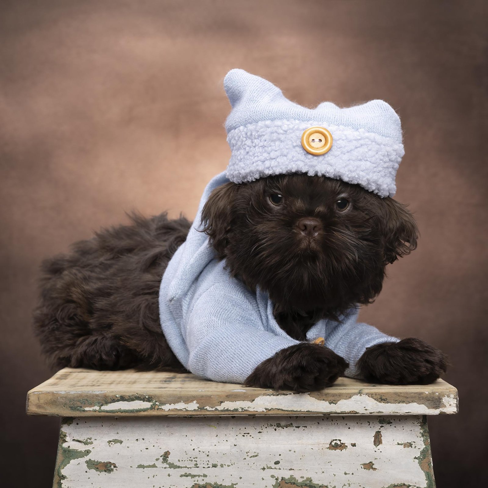 European Photography Awards Winner - Gimlet