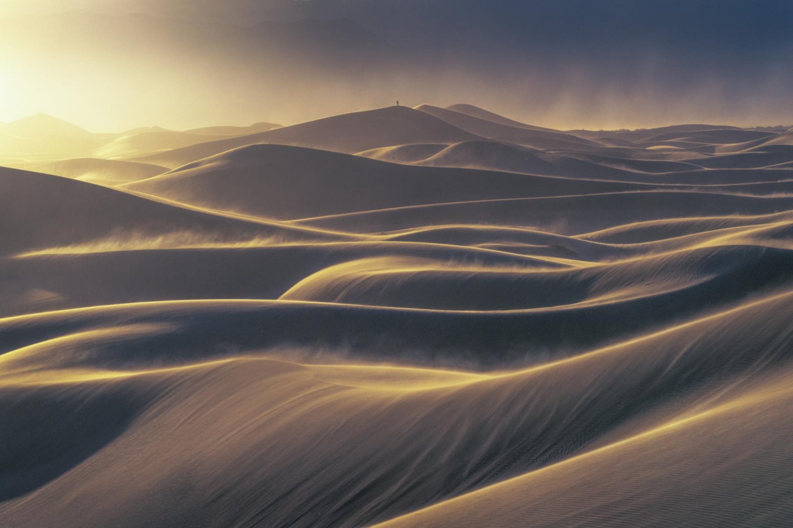 European Photography Awards Winner - The photographer