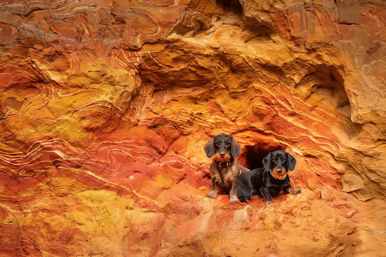 European Photography Awards Winner - Treasure Keepers