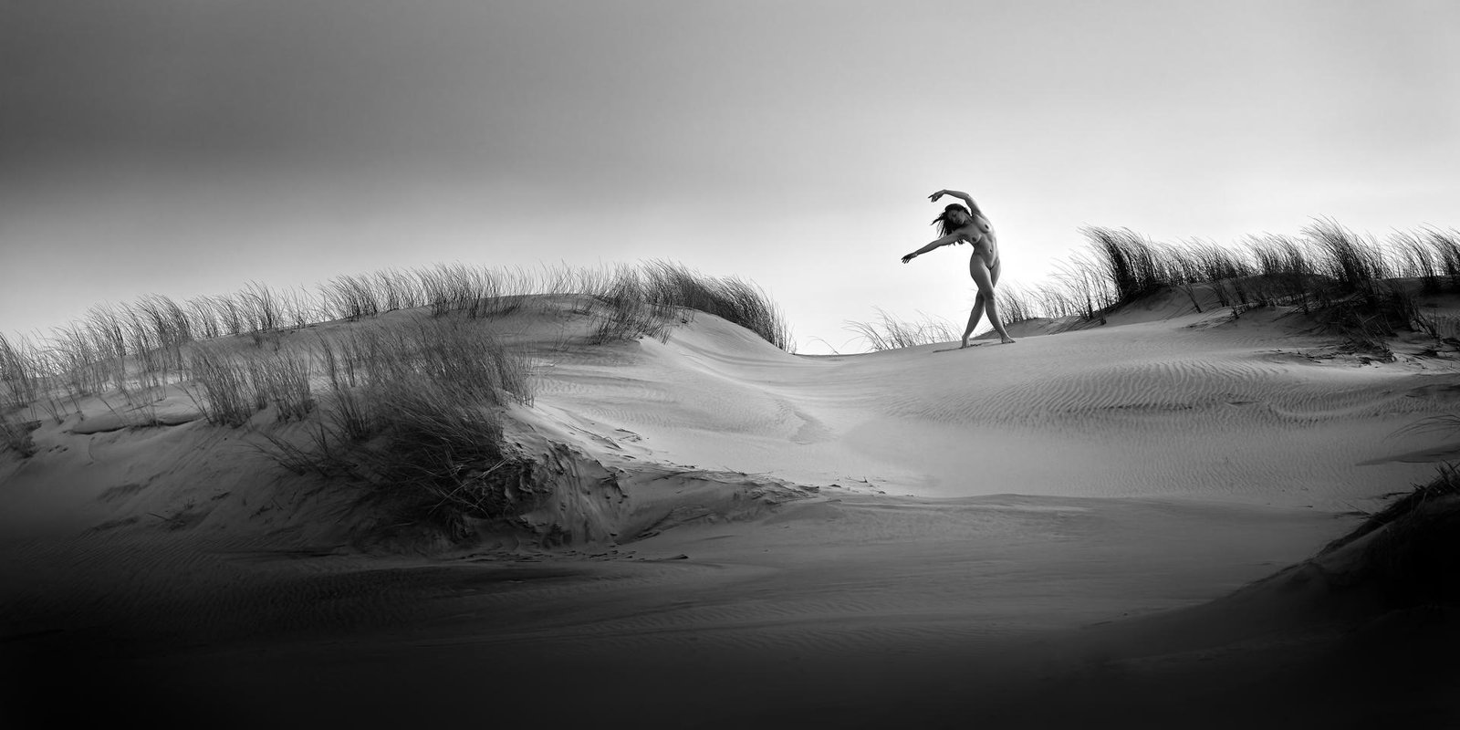 European Photography Awards Winner - wind dance
