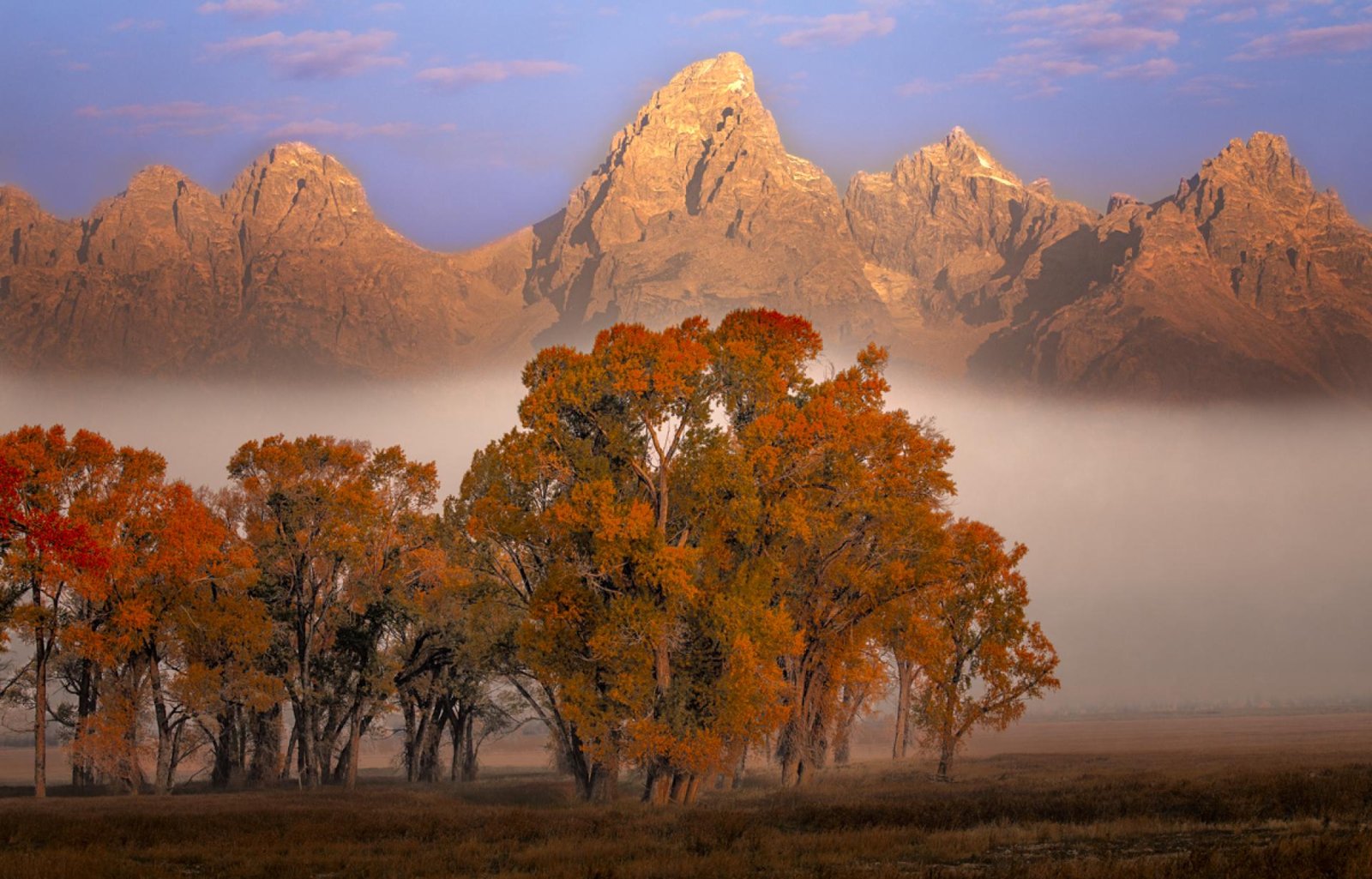 European Photography Awards Winner - Fall Haze