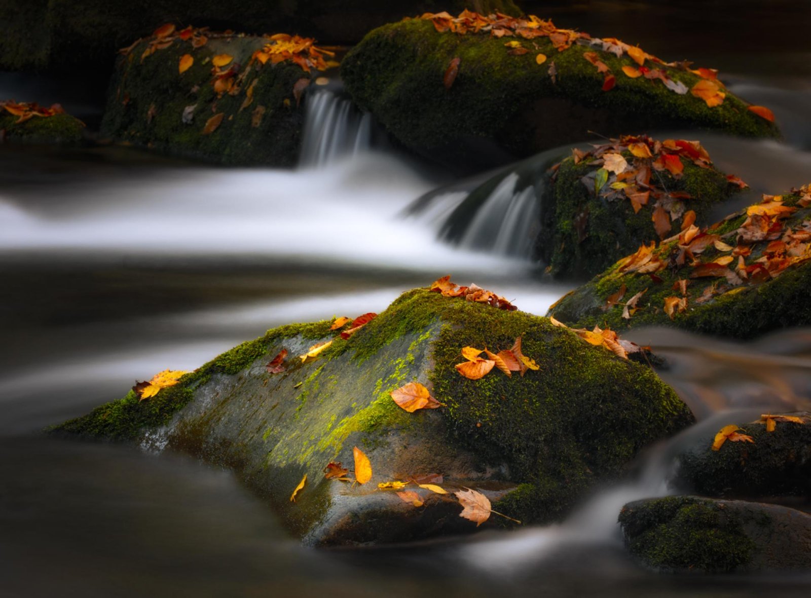 European Photography Awards Winner - Autumn's Pause