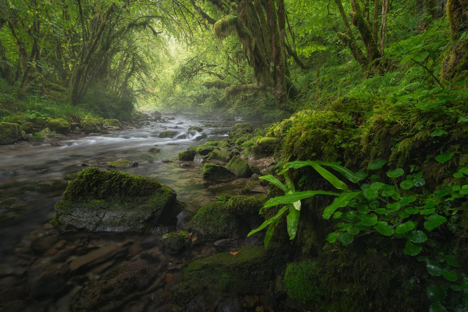 European Photography Awards Winner - Fairy summer