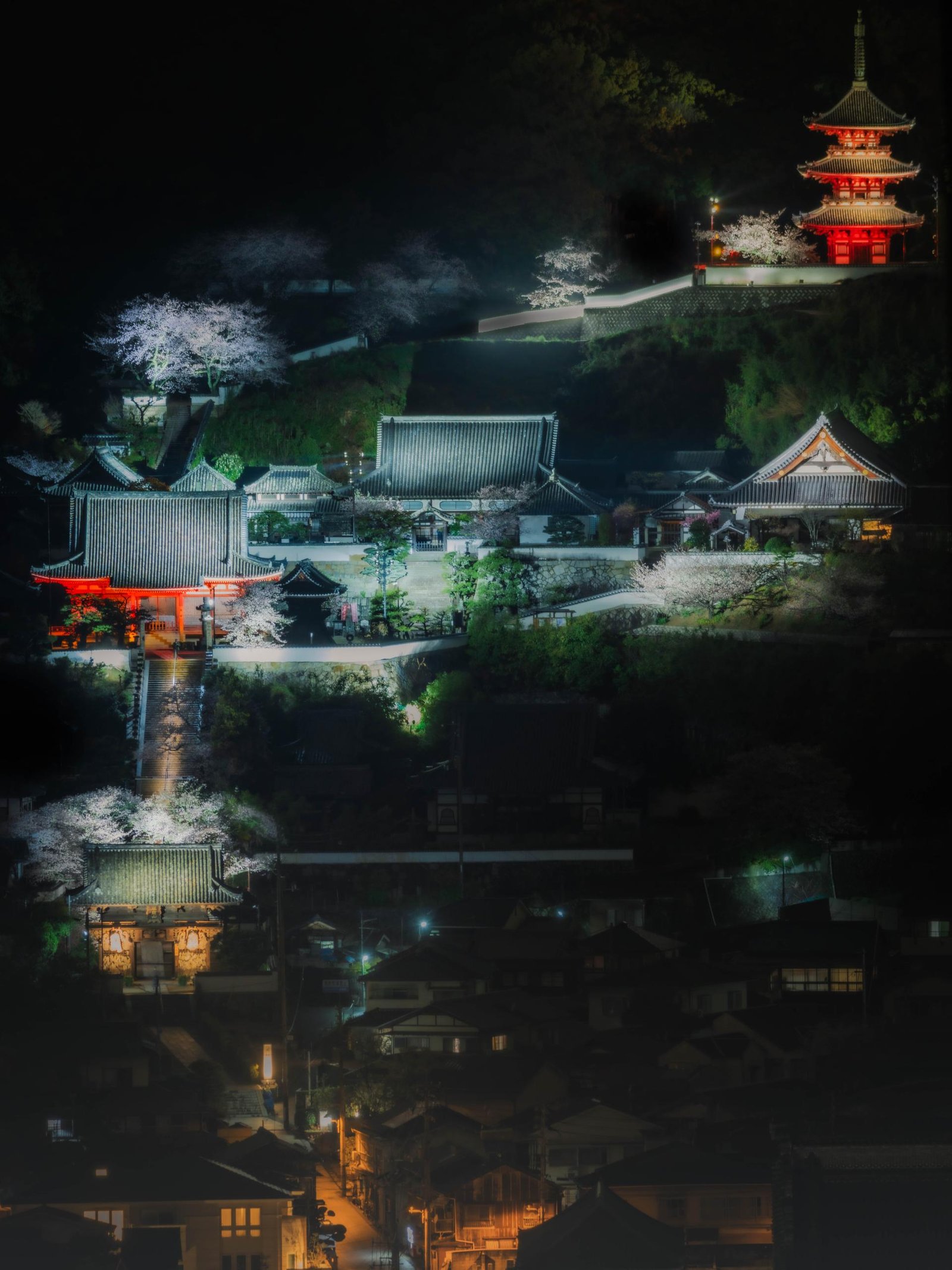 European Photography Awards Winner - Ascending Silence