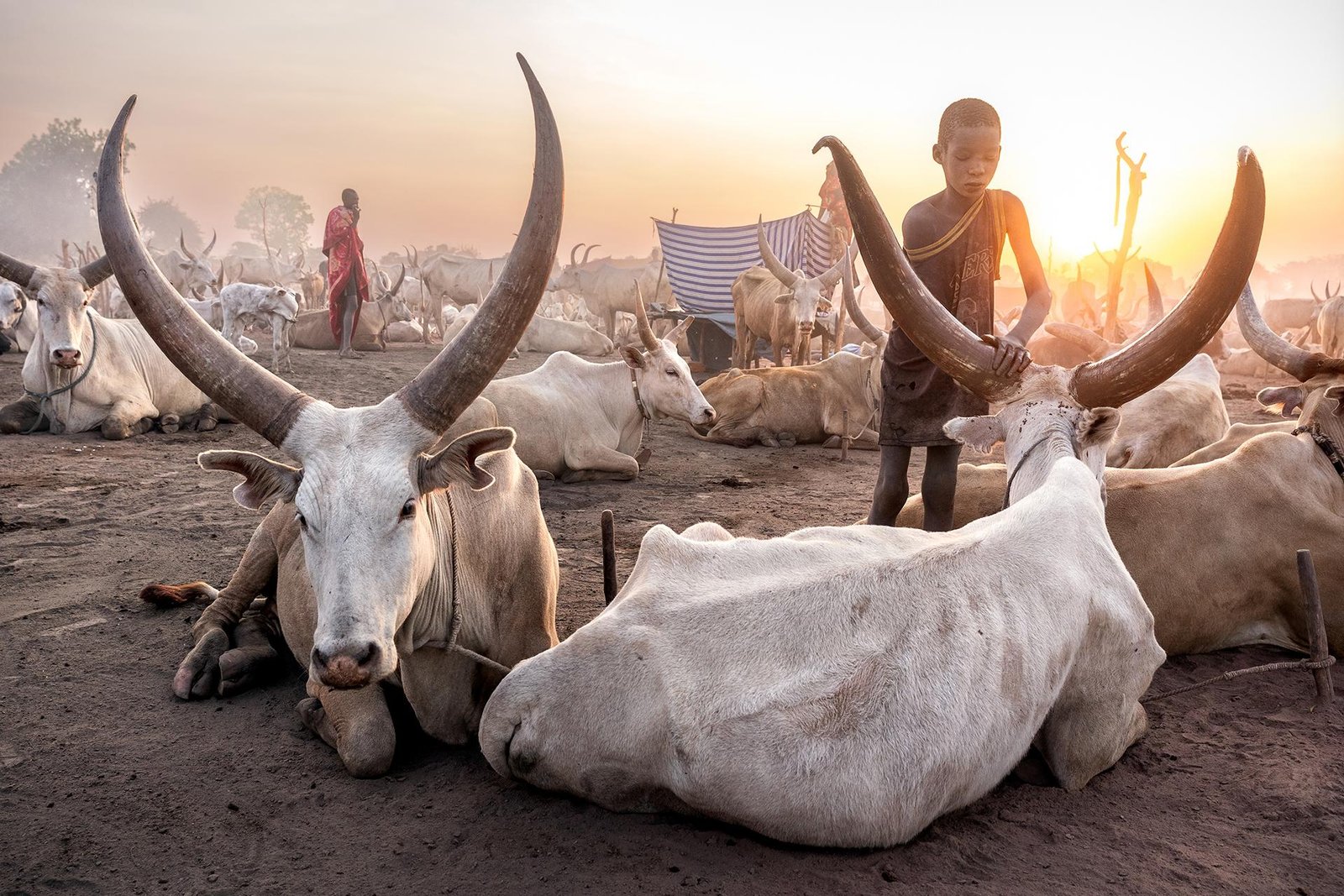 European Photography Awards Winner - Vanishing Worlds
