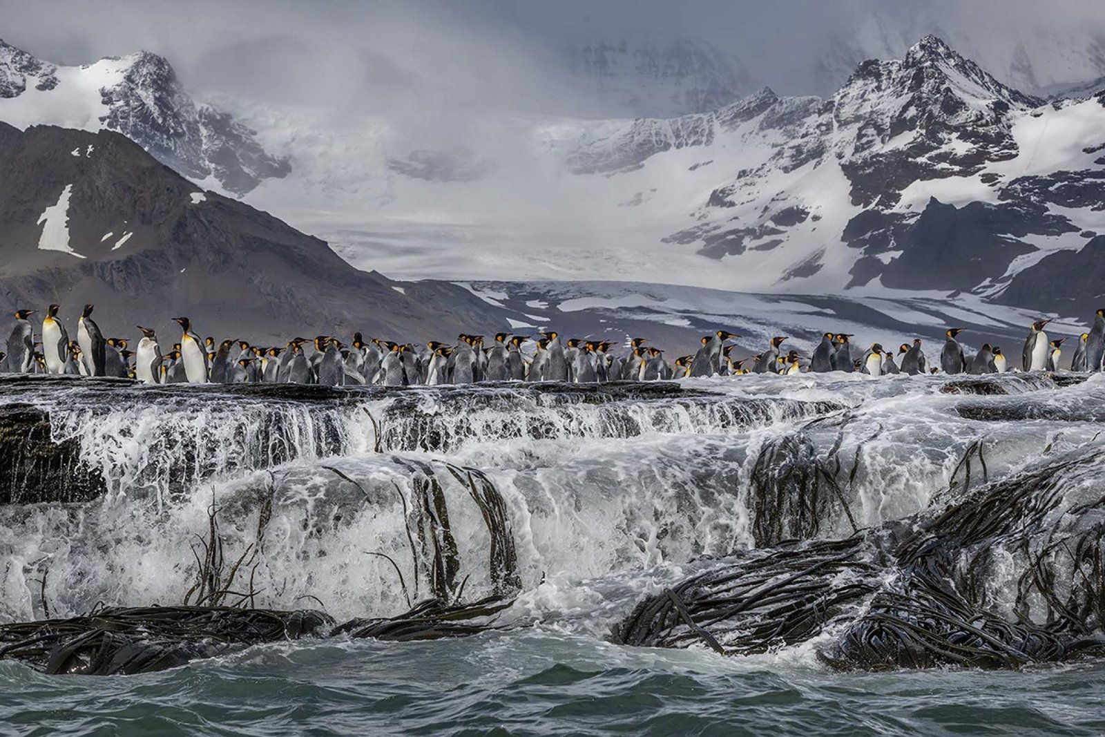 European Photography Awards Winner - Standing Tall