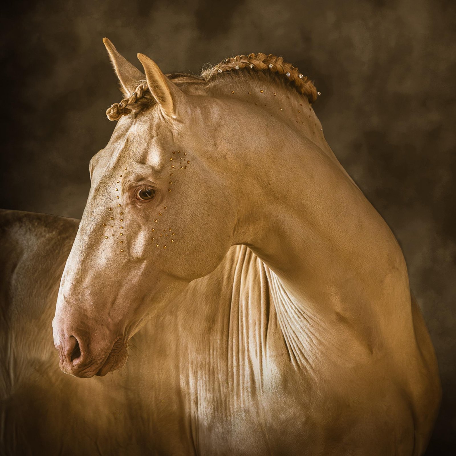 European Photography Awards Winner - Aureate I