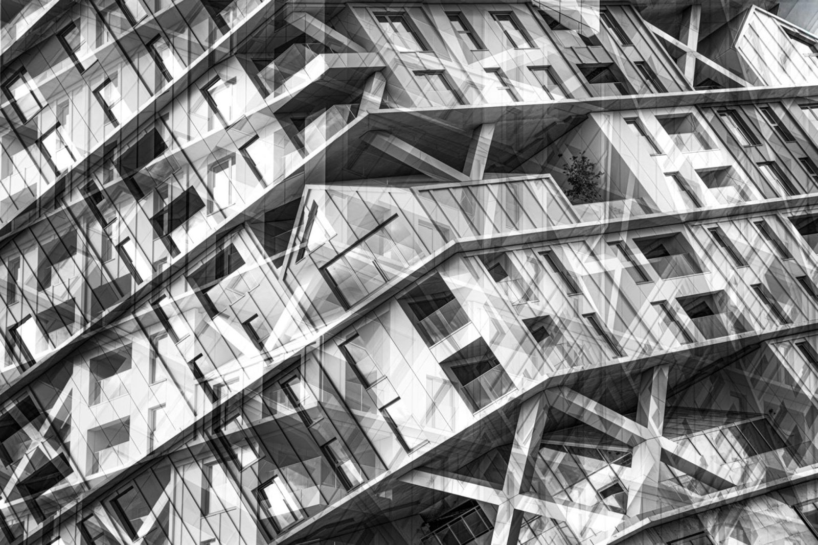 European Photography Awards Winner - Hoost