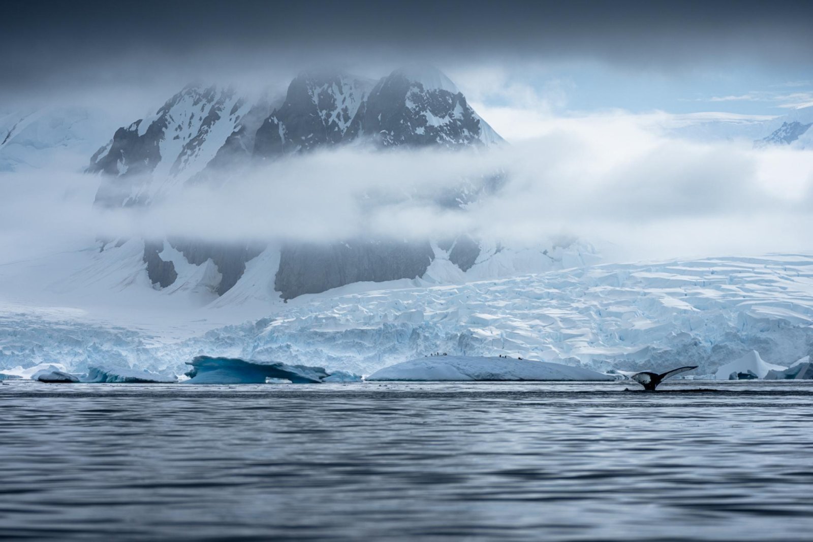European Photography Awards Winner - In the Silence of Ice