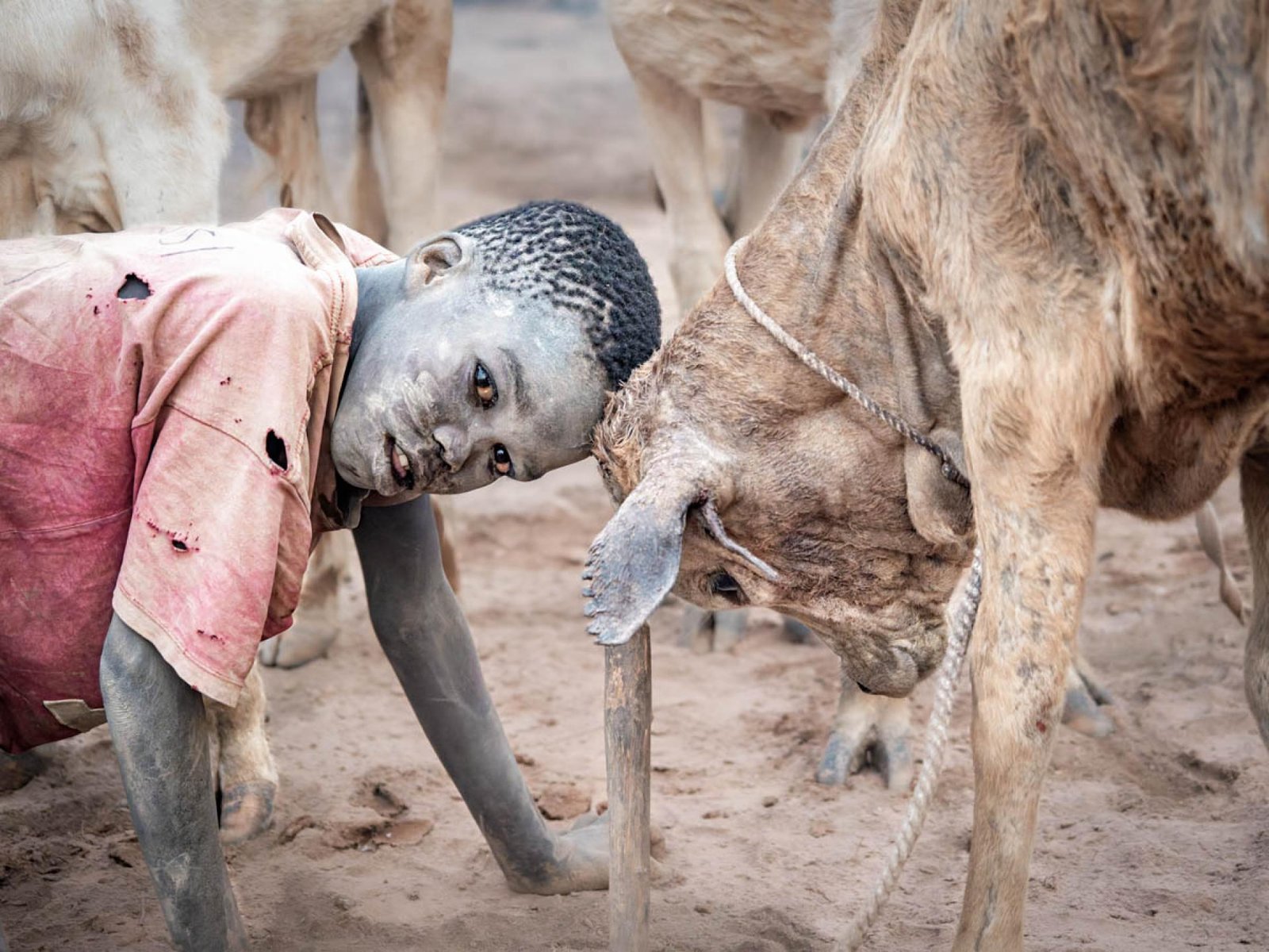European Photography Awards Winner - The Poetry of Dust and Horn