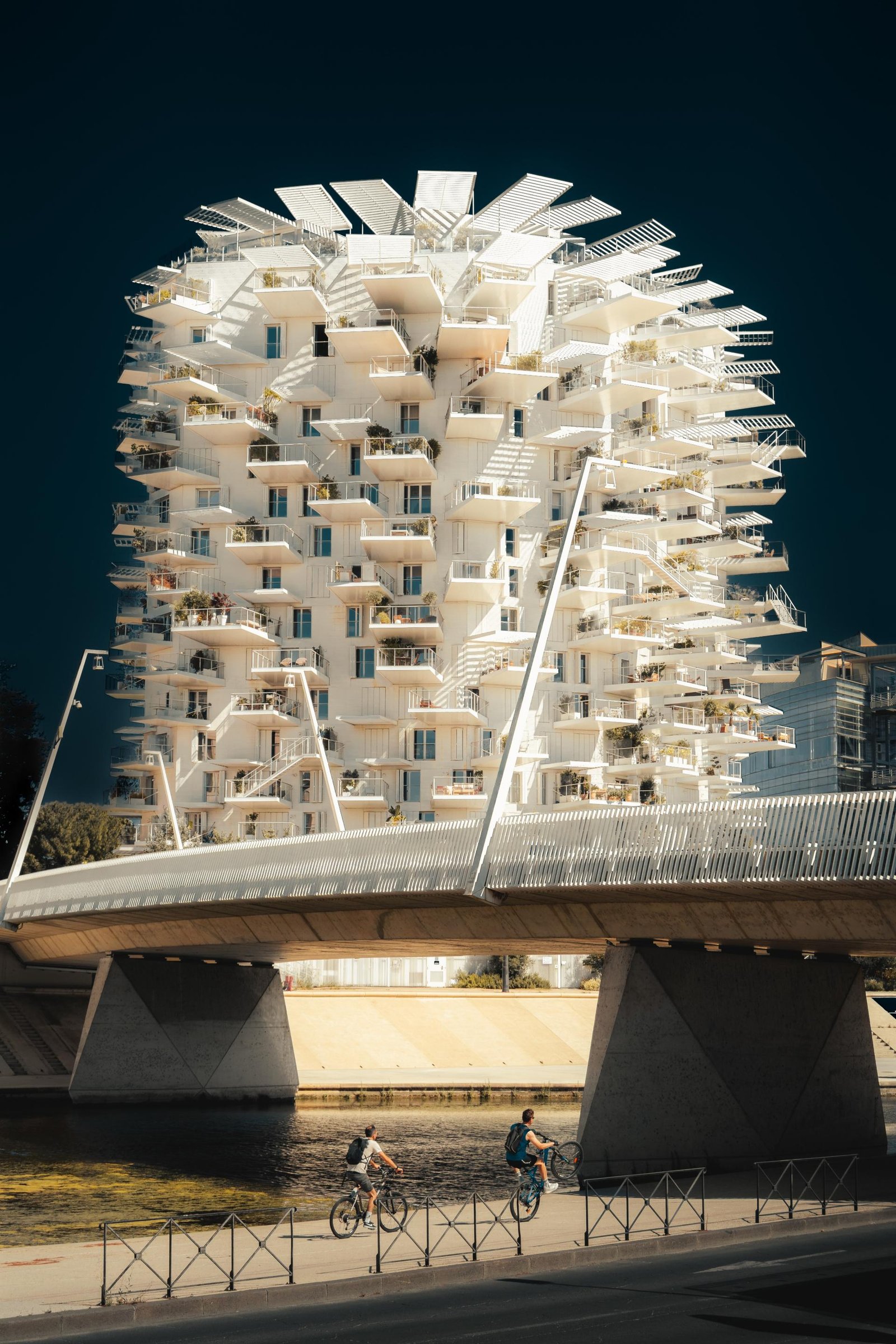 European Photography Awards Winner - L'Arbre Urbain: Montpellier's white canopy