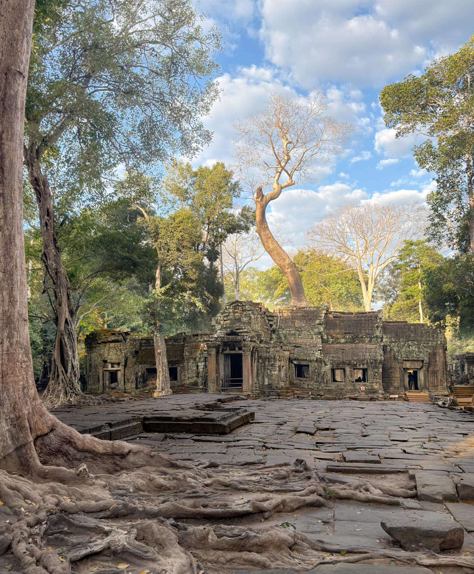 European Photography Awards Winner - Temple in the Jungle, Ta Prohm 