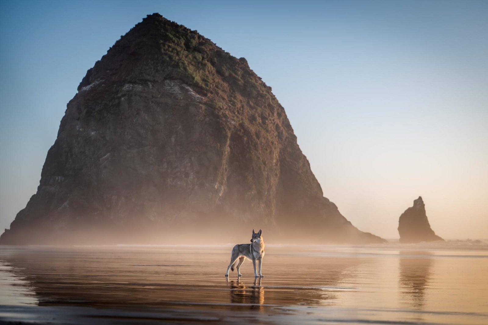 European Photography Awards Winner - Oregon Coast Mist 