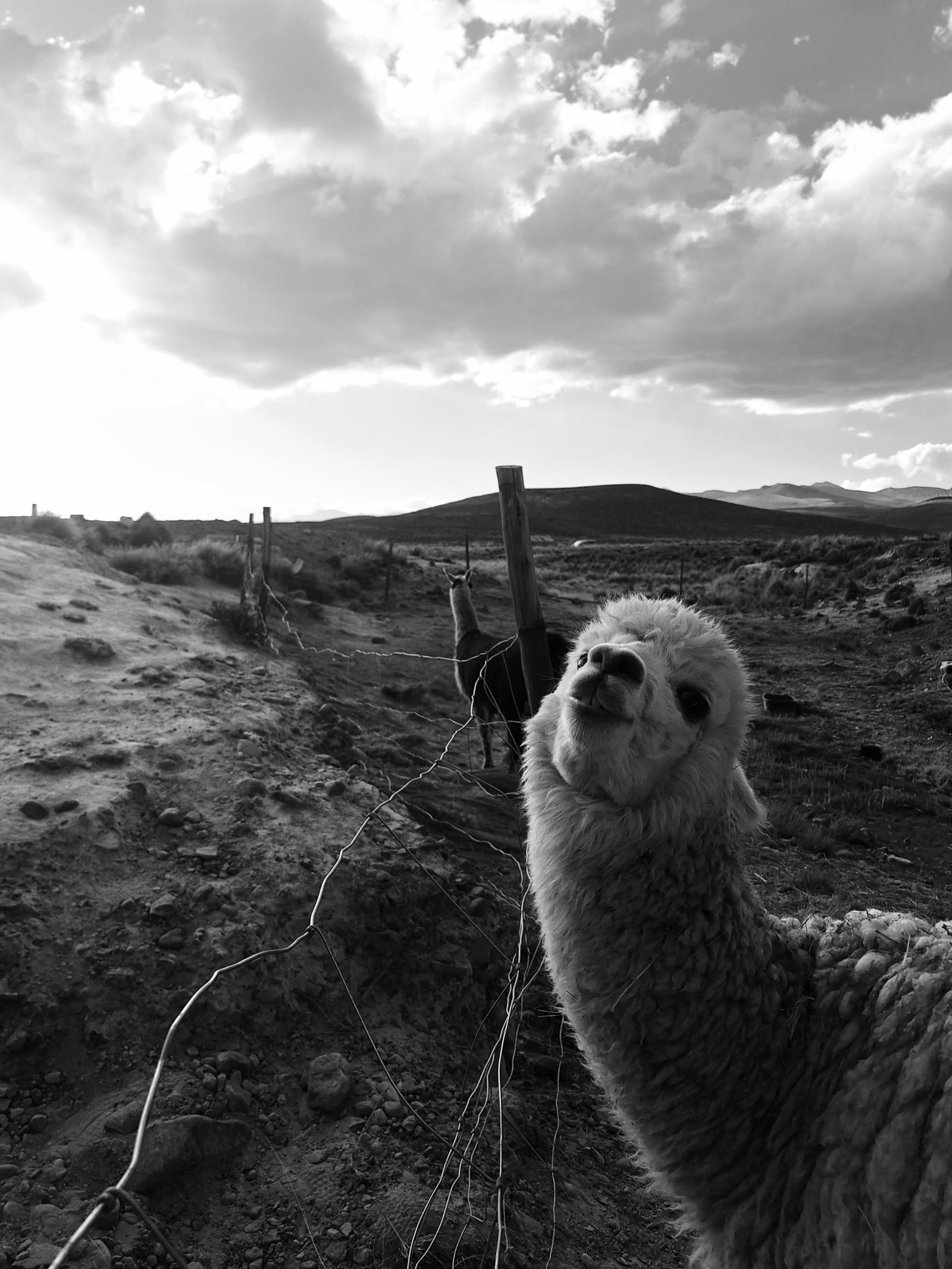 European Photography Awards Winner - Volcanes y Maravillas