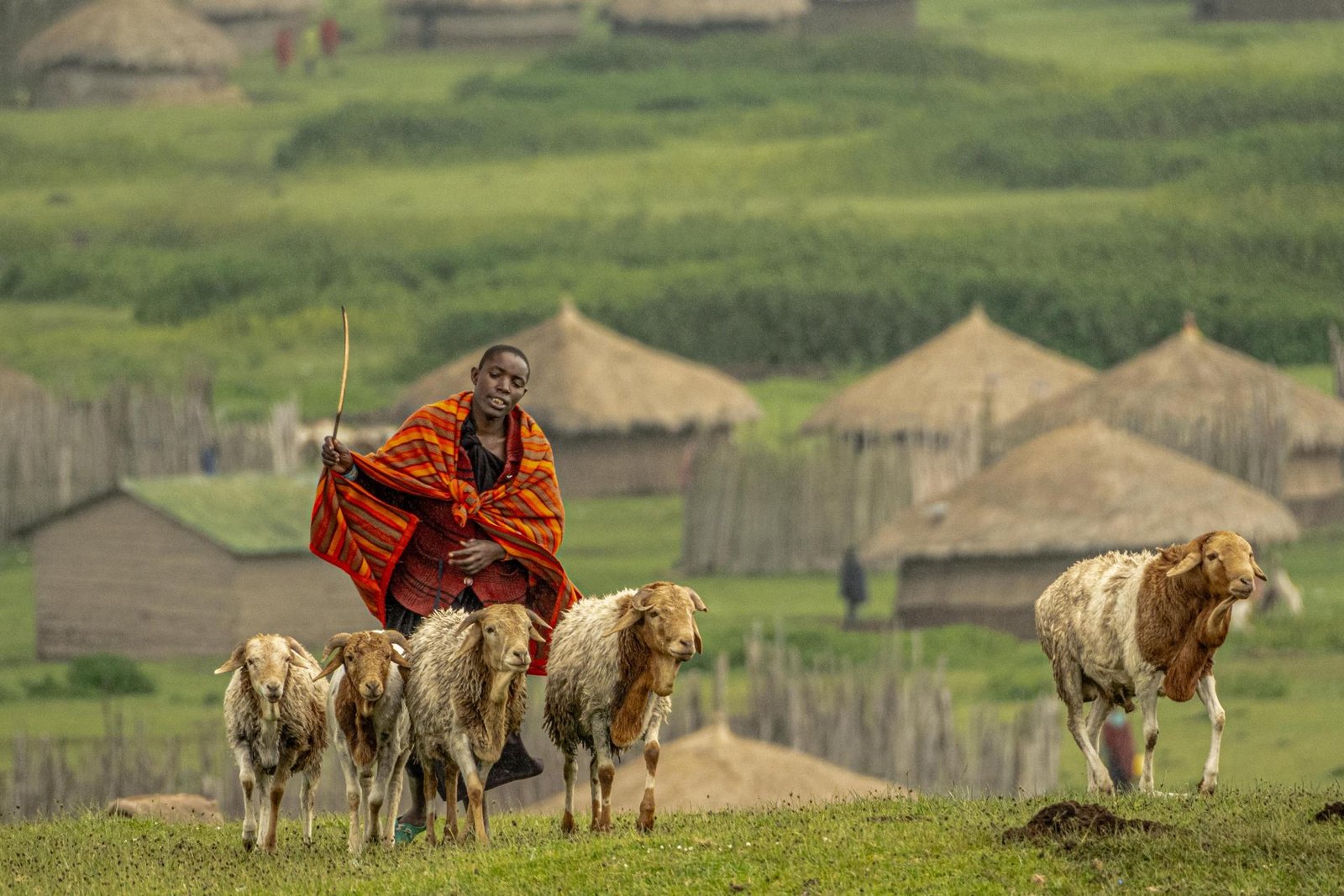 European Photography Awards Winner - Masai Life 