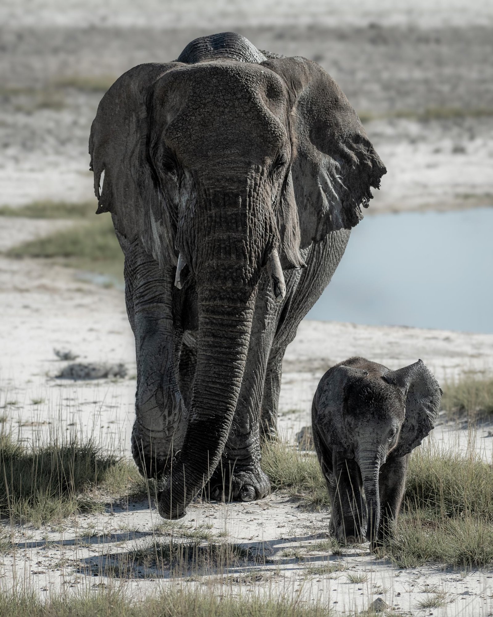 European Photography Awards Winner - Two Generations