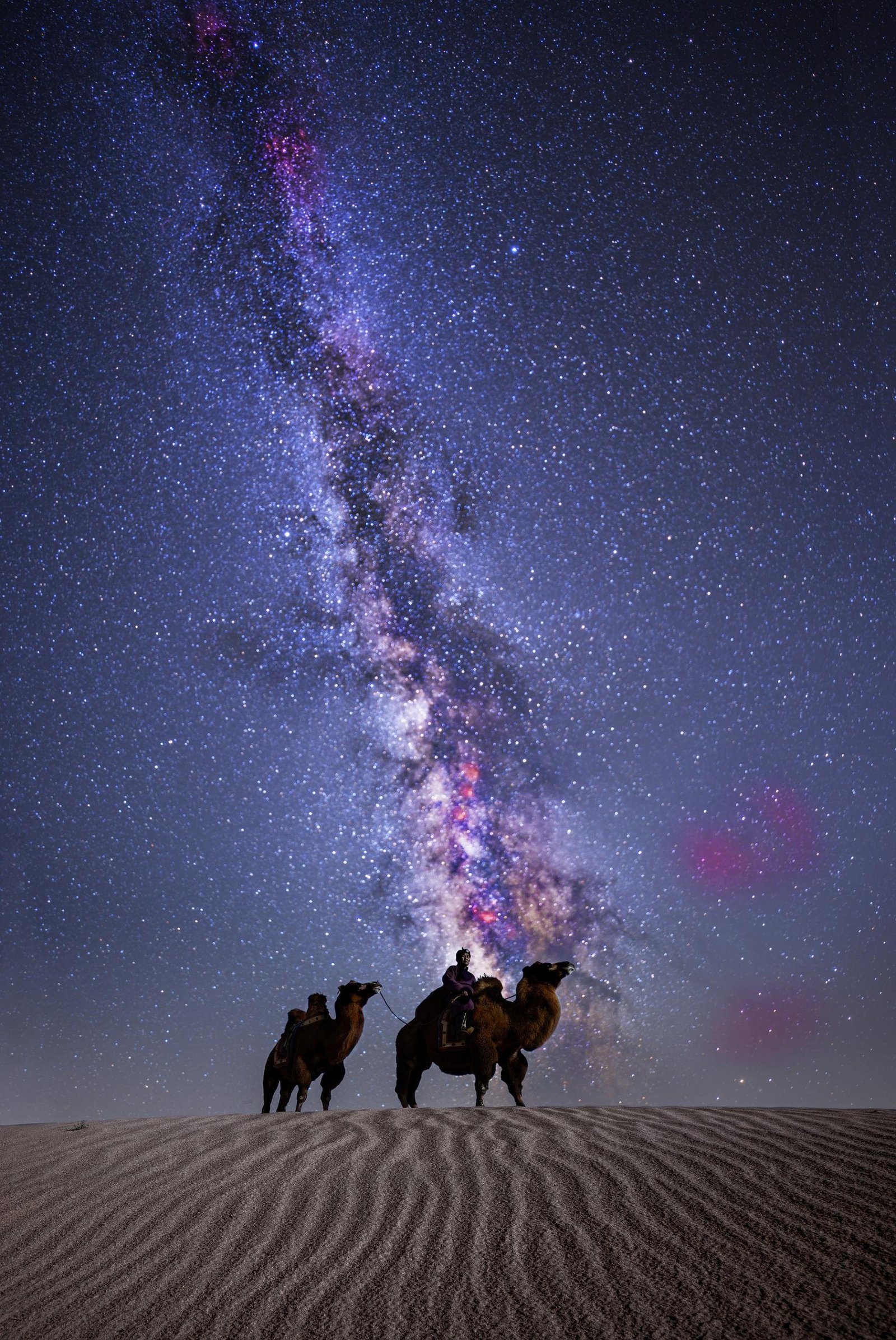European Photography Awards Winner - CAMEL WITH MILKYWAY