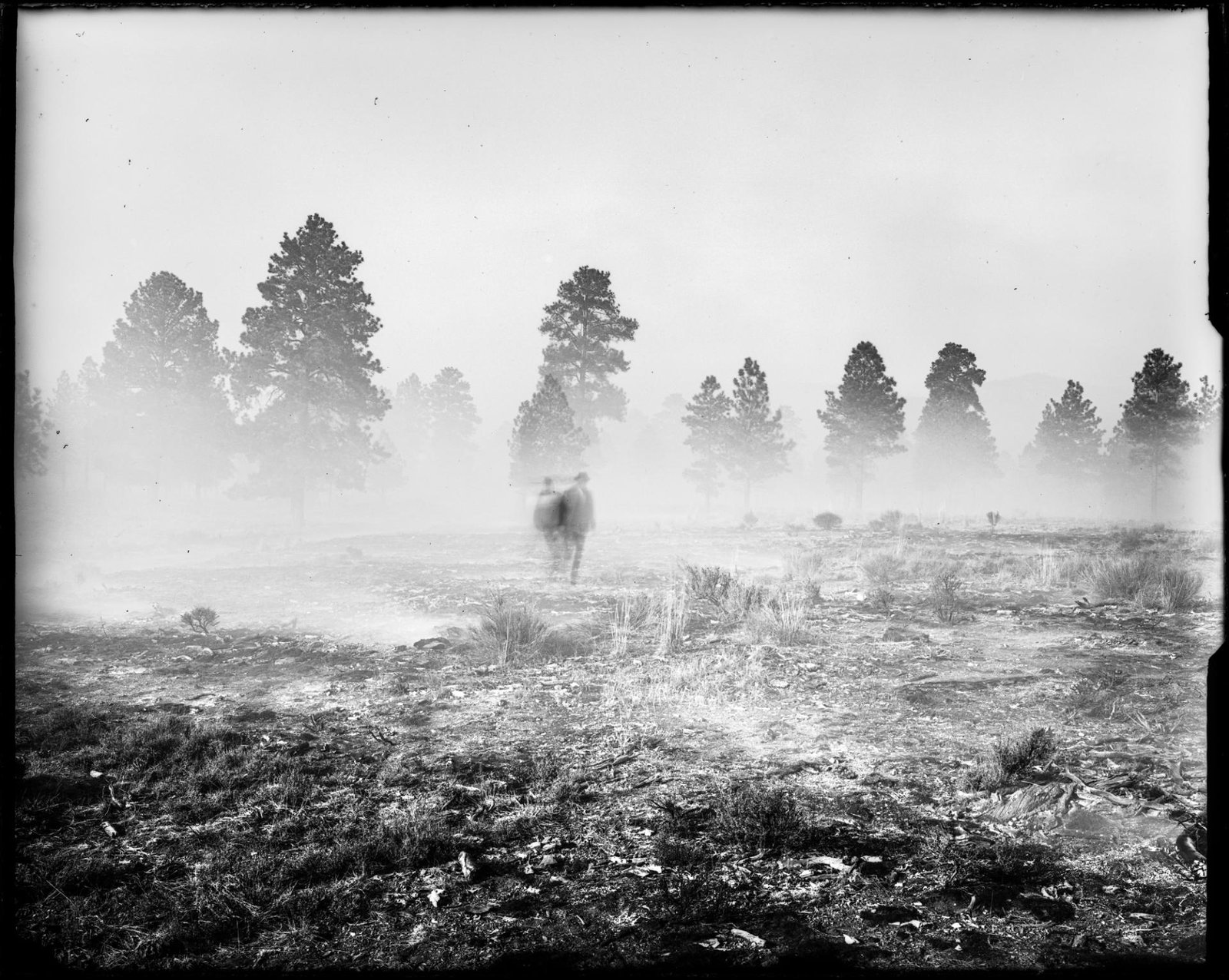 European Photography Awards Winner - Echoes of Self