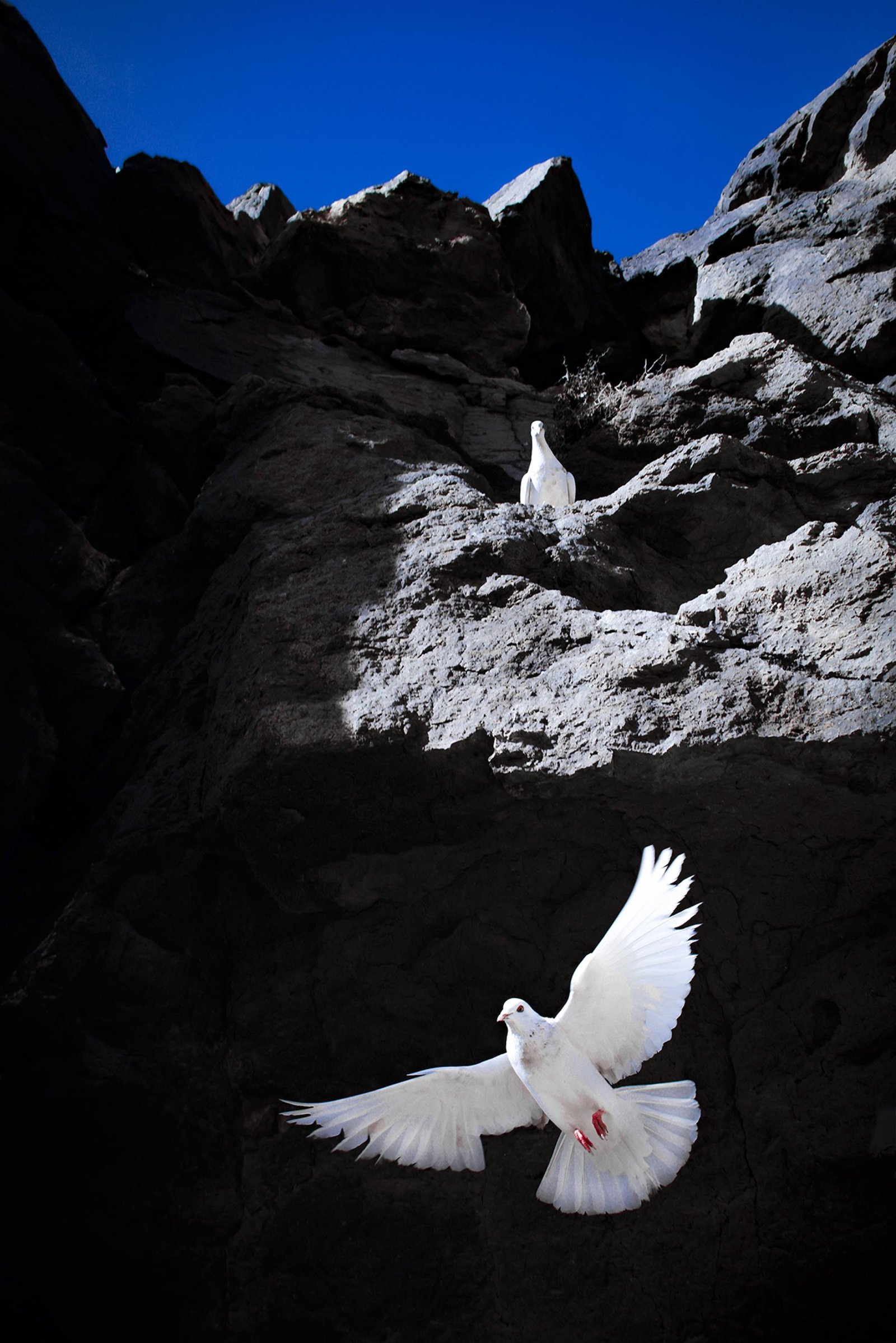 European Photography Awards Winner - I'll be back.