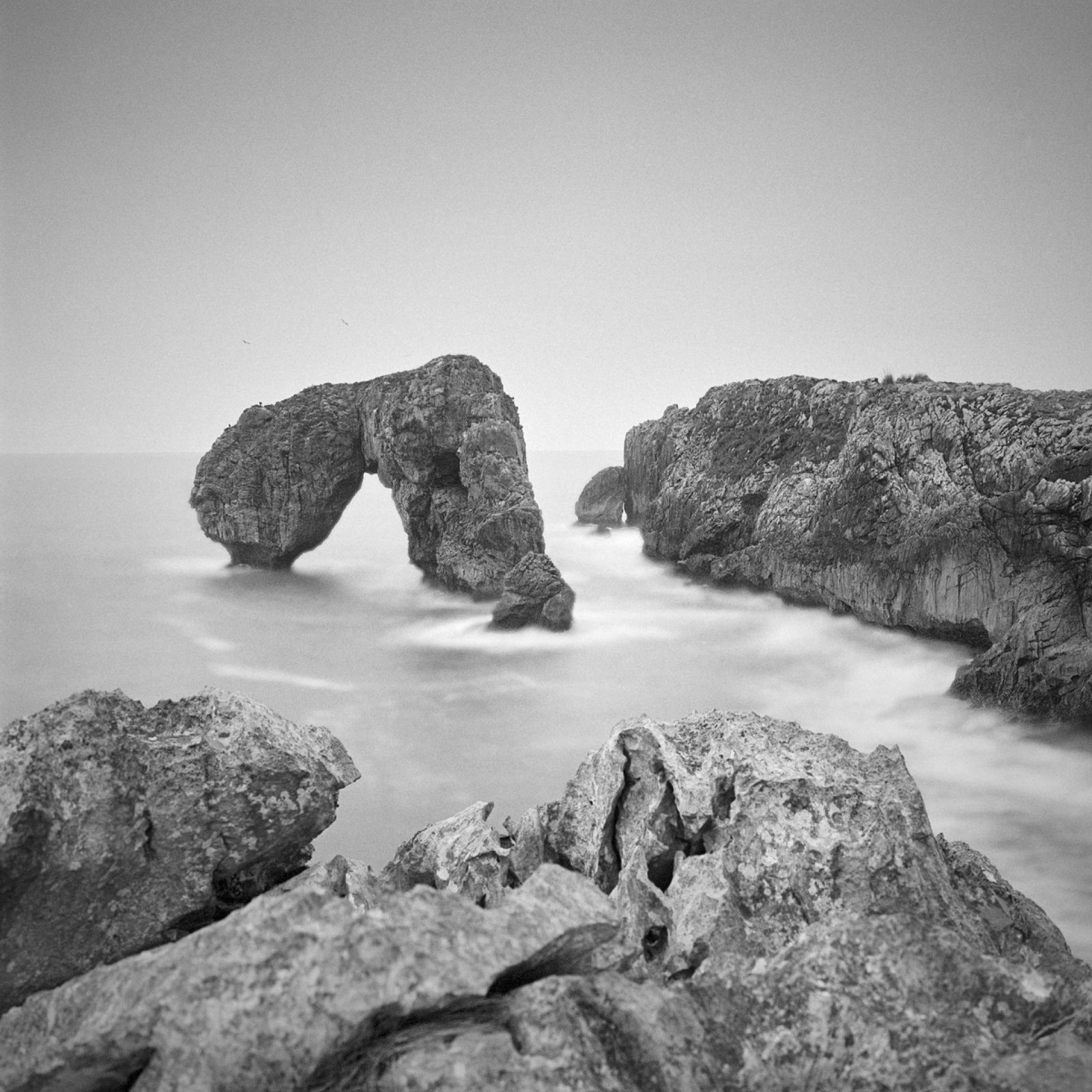 European Photography Awards Winner - PRINCIPALITY OF ASTURIAS NATURAL PARKS (NW SPAIN)