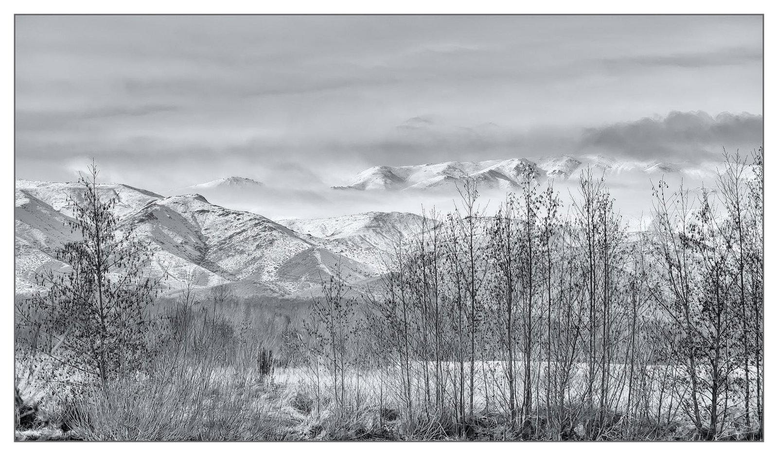 European Photography Awards Winner - View through the trees