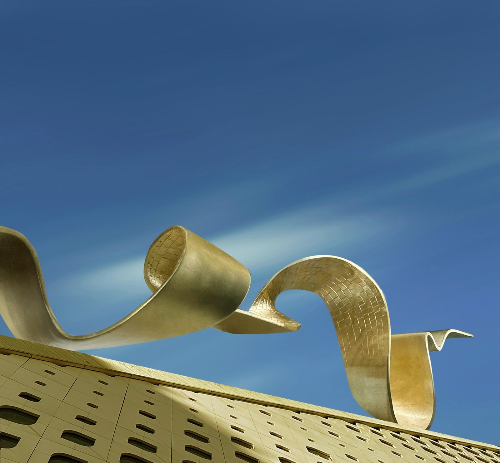 European Photography Awards Winner - Golden Sheen