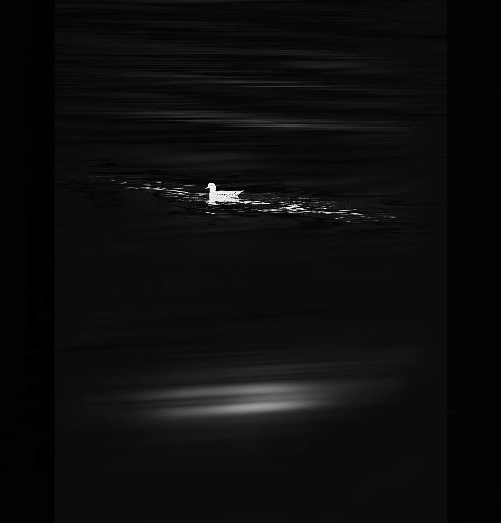 European Photography Awards Winner - Under the moonlight