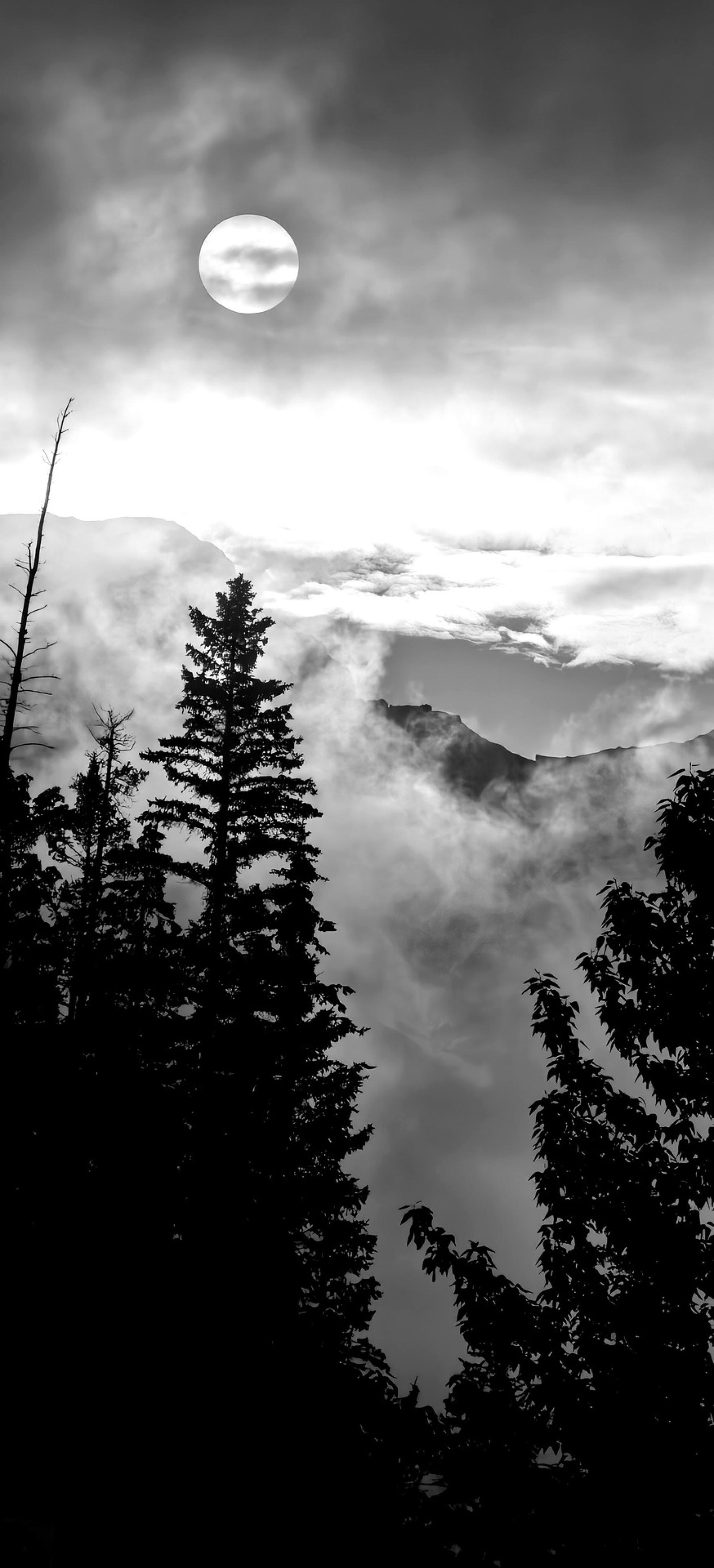 European Photography Awards Winner - Watcher in the Clouds