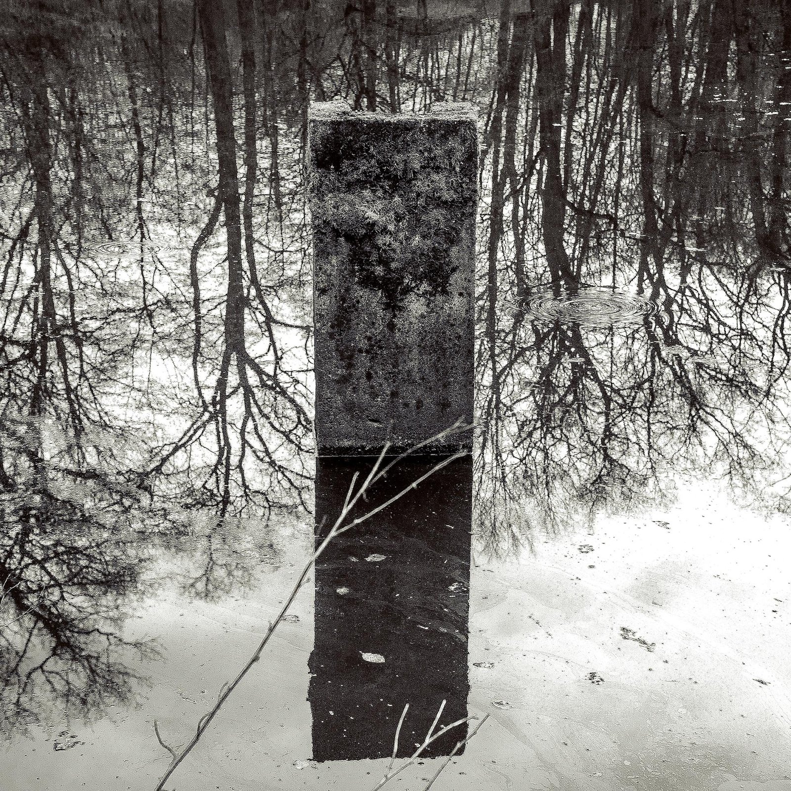 European Photography Awards Winner - Liquid Echoes