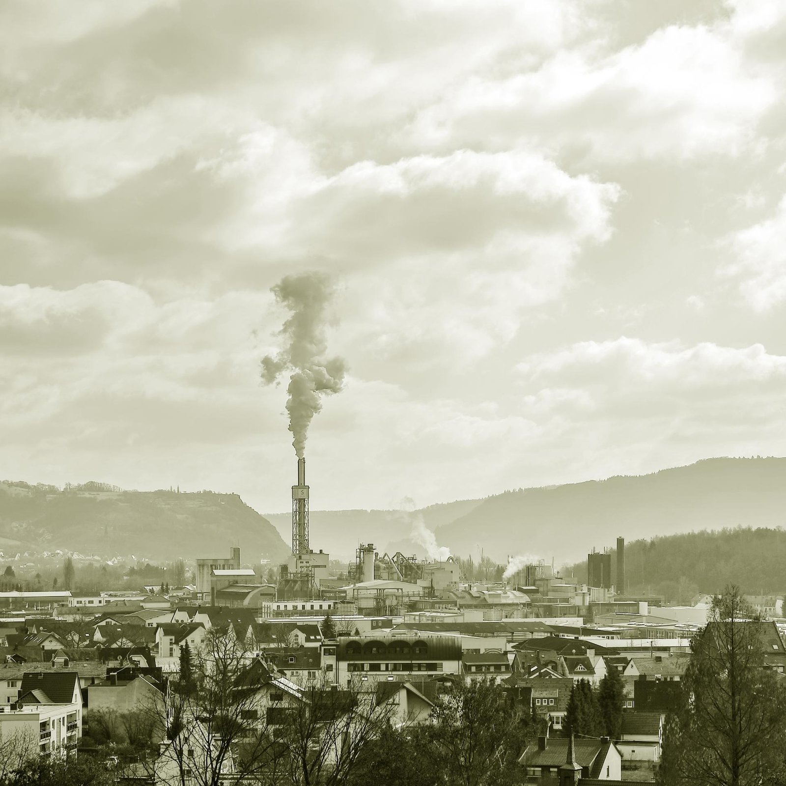 European Photography Awards Winner - The Fossil Era: A Carbon Interlude
