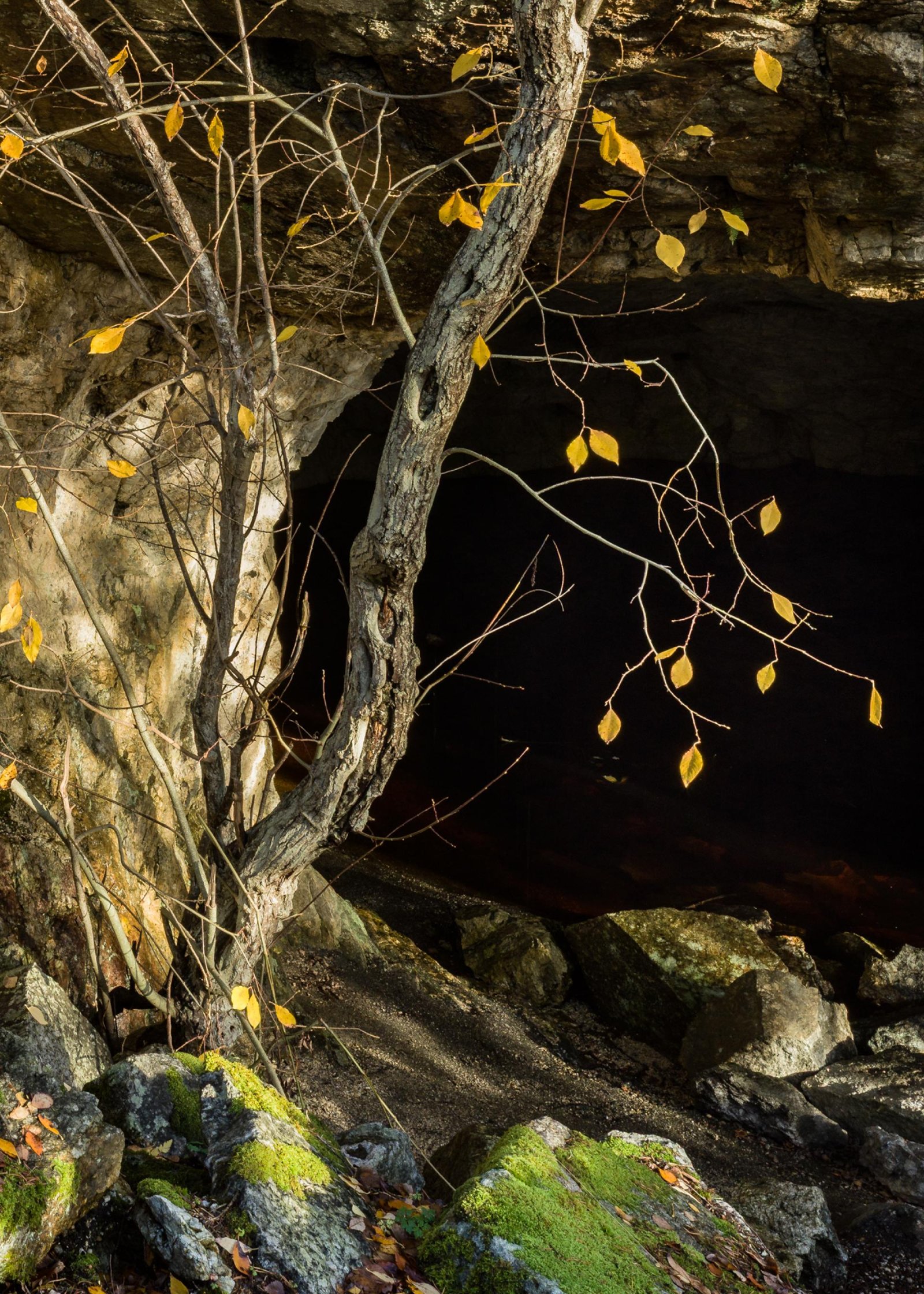 European Photography Awards Winner - Where the Light Stops