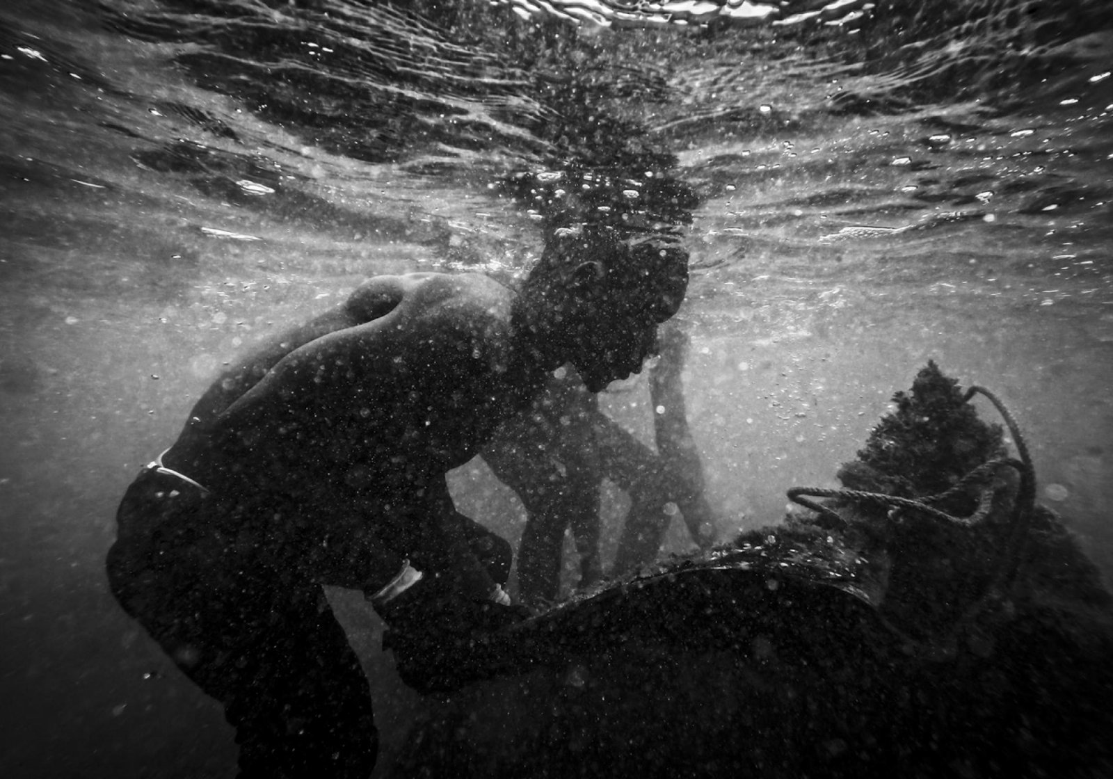 European Photography Awards Winner - Black Gold, Salty Blood